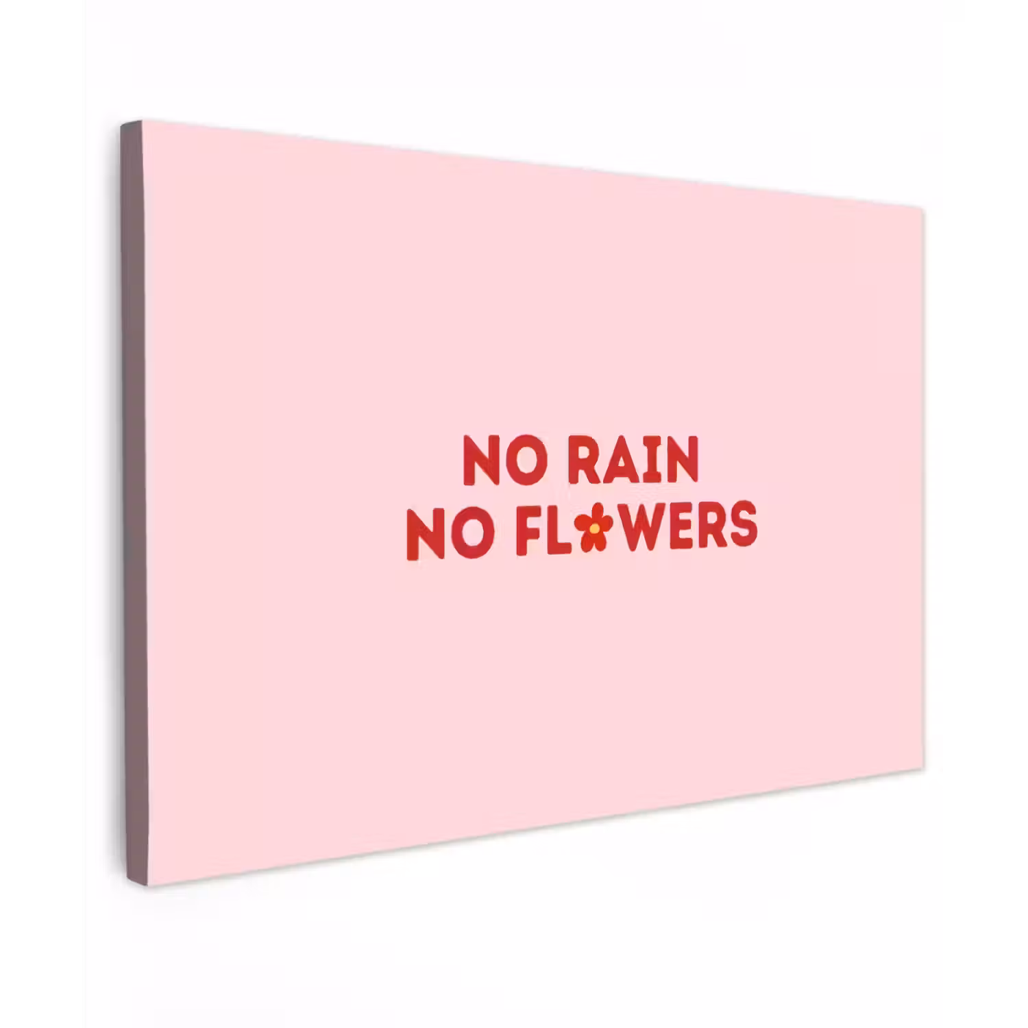 No rain no flowers - Minimalistisch - Roze - Bloem Tuinposter op houten frame 2 cm dik klein -3d
