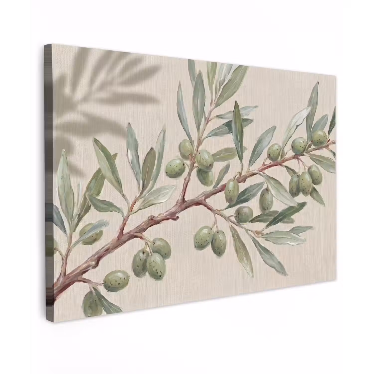 Olijftak - Bladeren - Natuur - Groen - Beige Tuinposter op houten frame 2 cm dik klein -3d