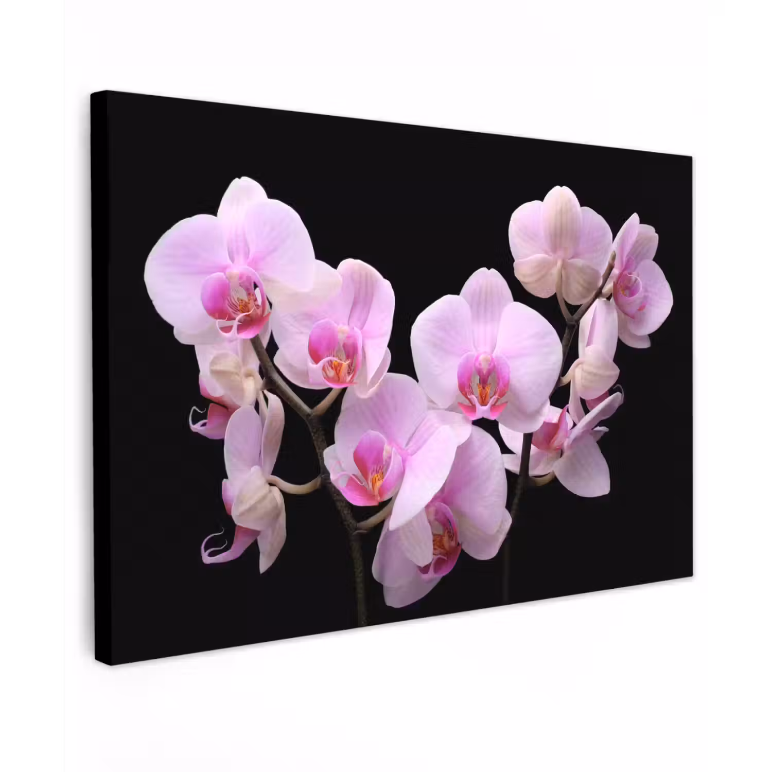 Orchidee - Bloemen - Roze - Flora Tuinposter op houten frame 2 cm dik klein -3d