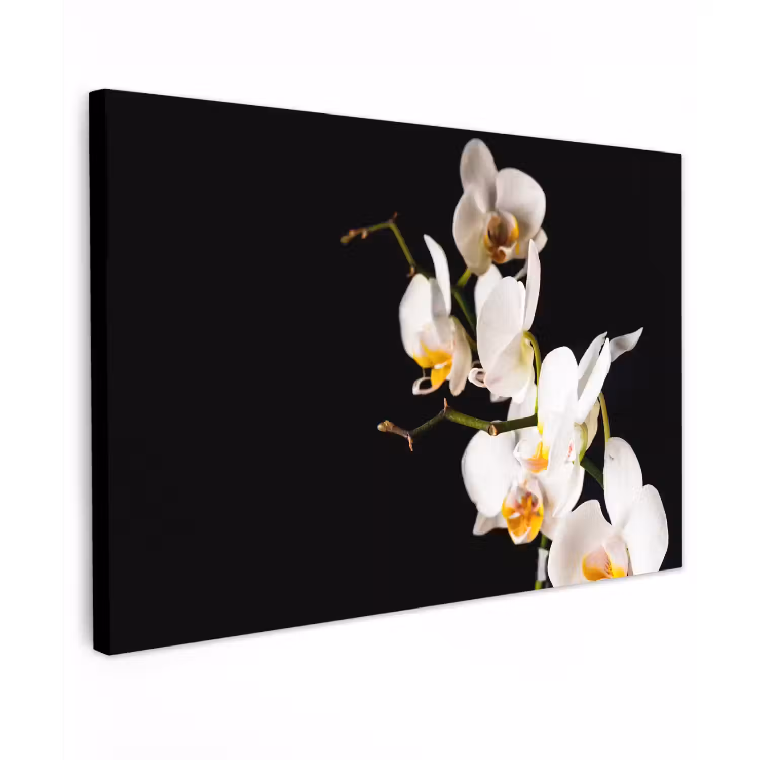 Orchidee - Bloemen - Planten - Botanisch Tuinposter op houten frame 2 cm dik klein -3d