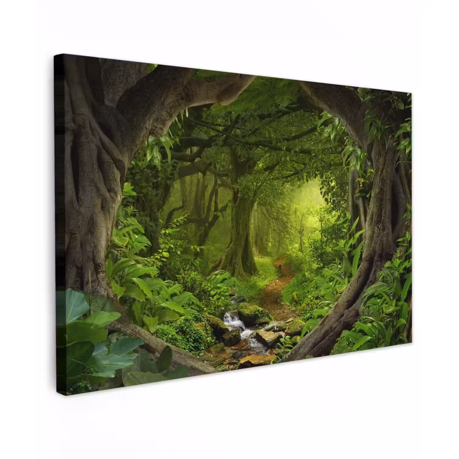Pad door het Regenwoud Tuinposter op houten frame 2 cm dik klein -3d