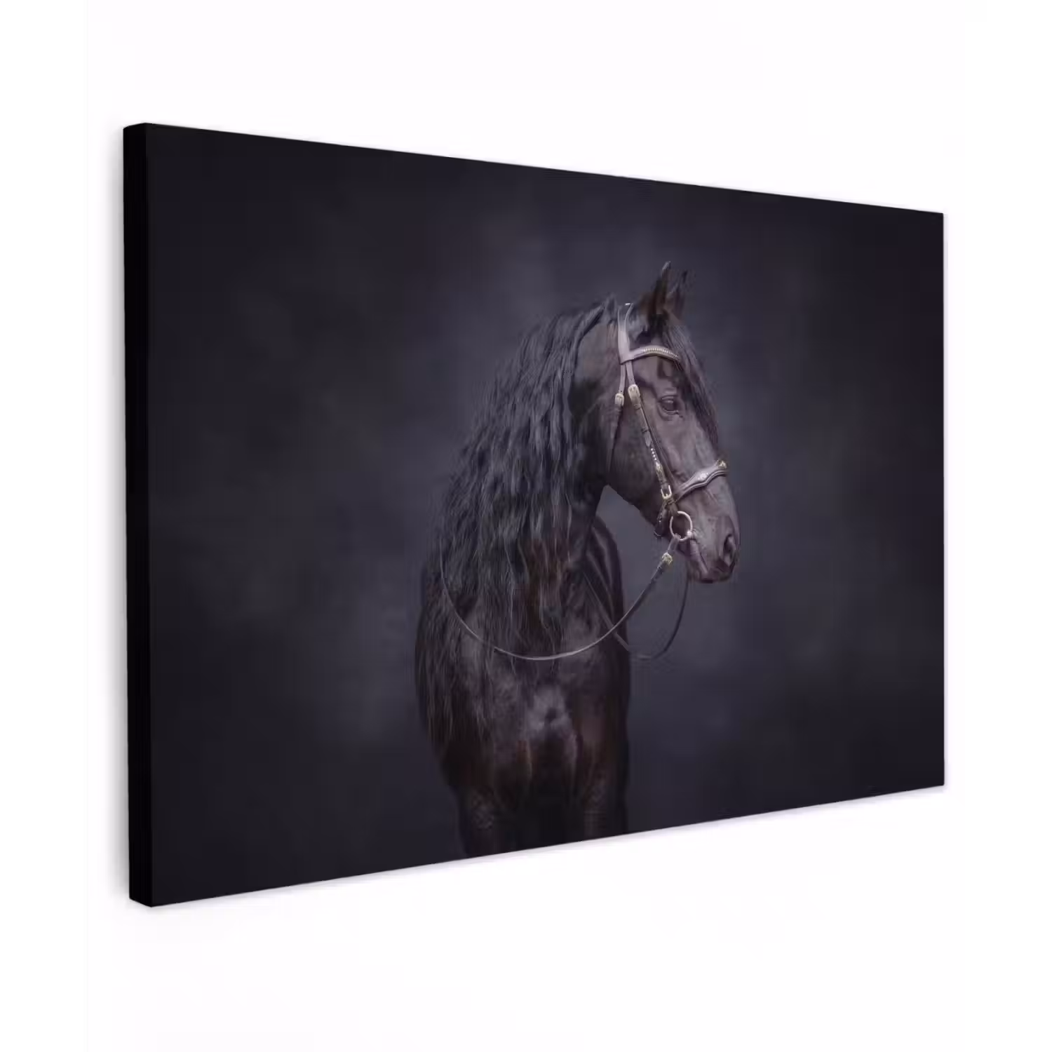 Portret - Paard - Donker Tuinposter op houten frame 2 cm dik klein -3d