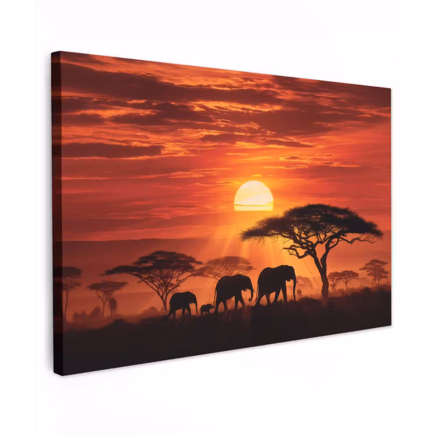 Savanne - Olifanten - Zonsondergang Tuinposter op houten frame 2 cm dik klein -3d
