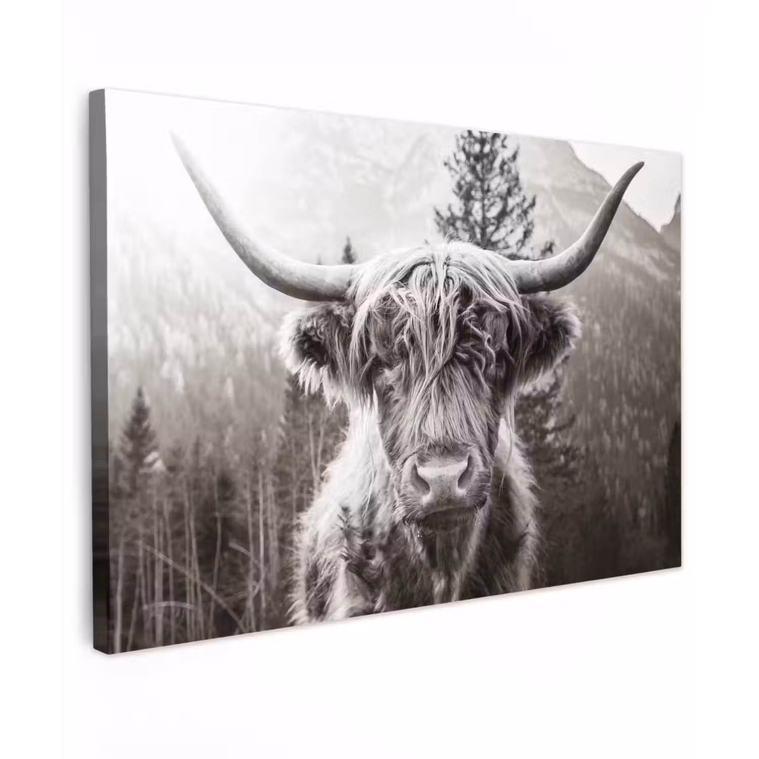 Schotse hooglander - Koe - Dieren - Zwart - Wit Tuinposter op houten frame 2 cm dik klein -3d