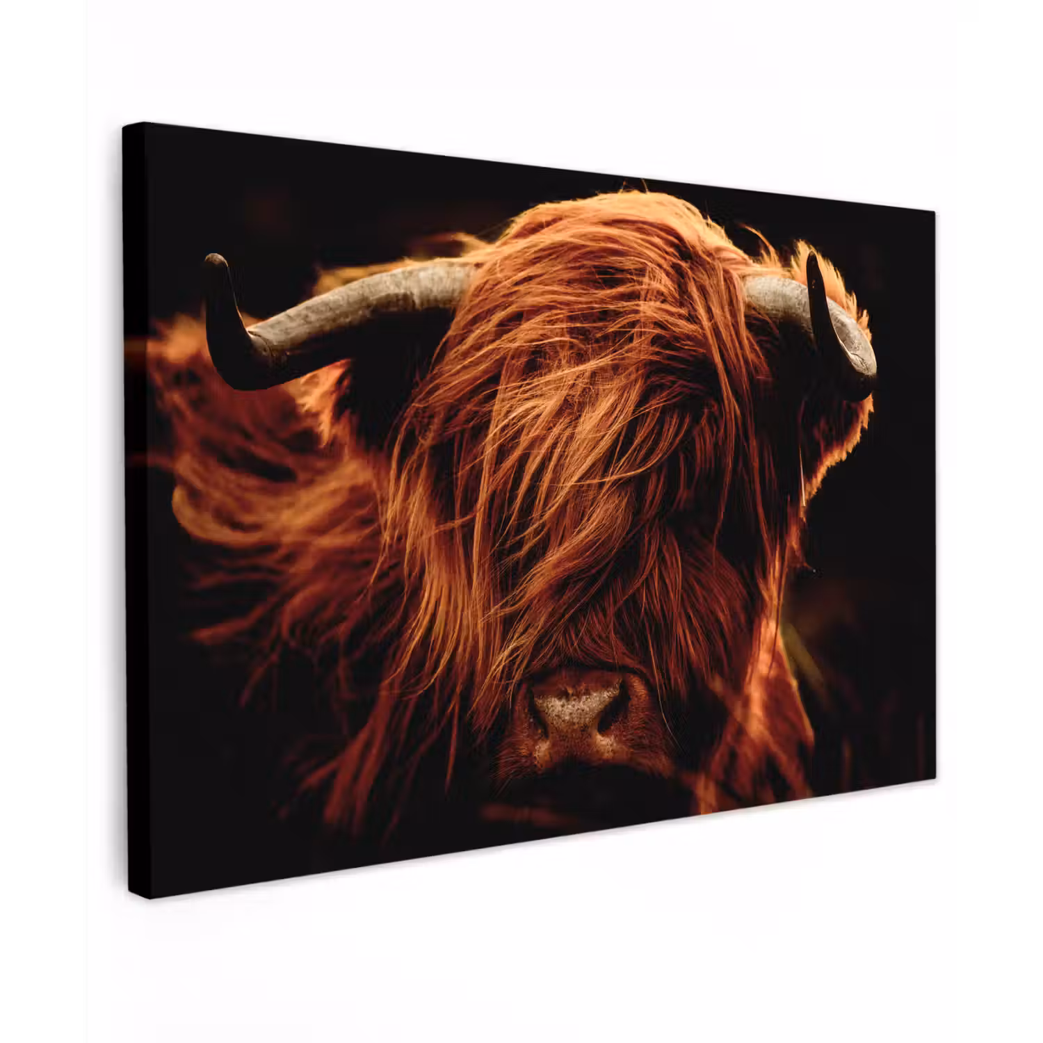 Schotse hooglander - Koe - Hoorns - Portret - Dieren Tuinposter op houten frame 2 cm dik klein -3d