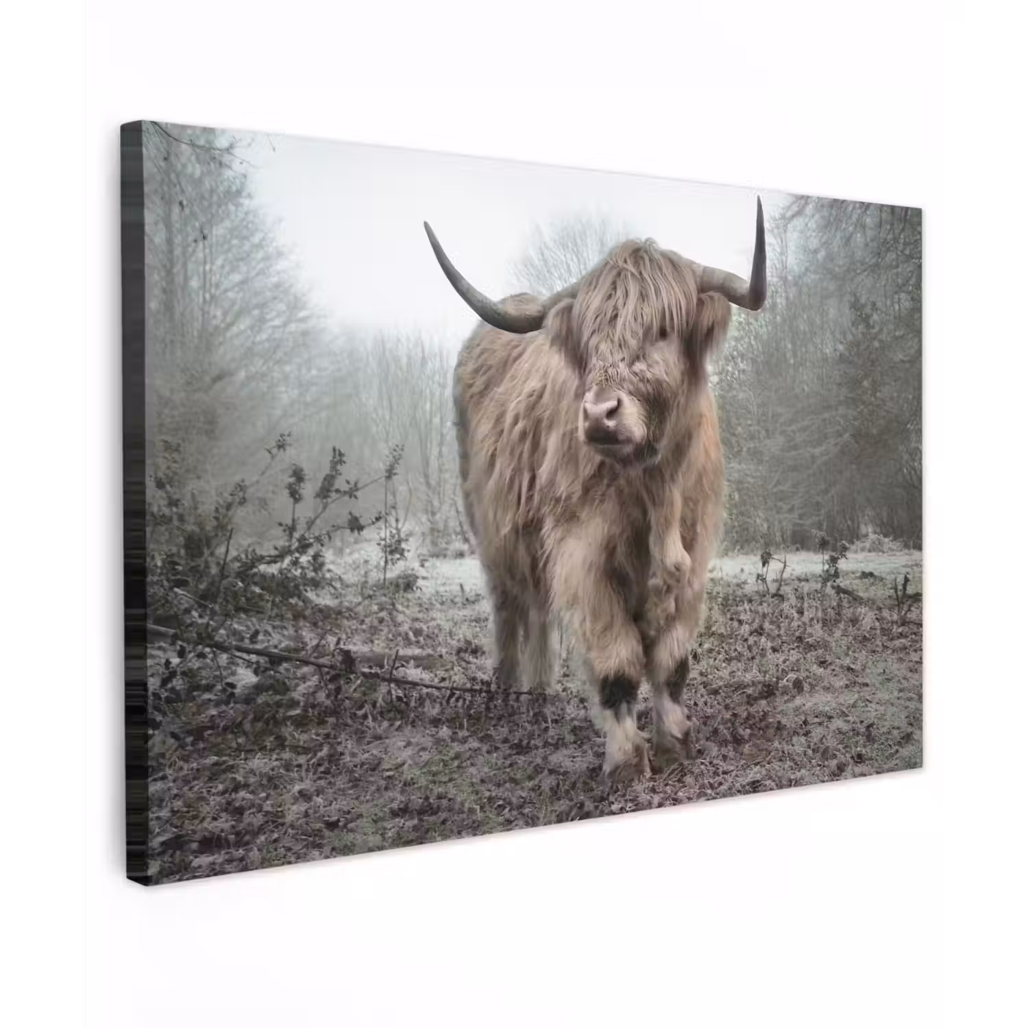 Schotse Hooglander - Bos - Mist - Koe - Dieren - Natuur Tuinposter op houten frame 2 cm dik klein -3d