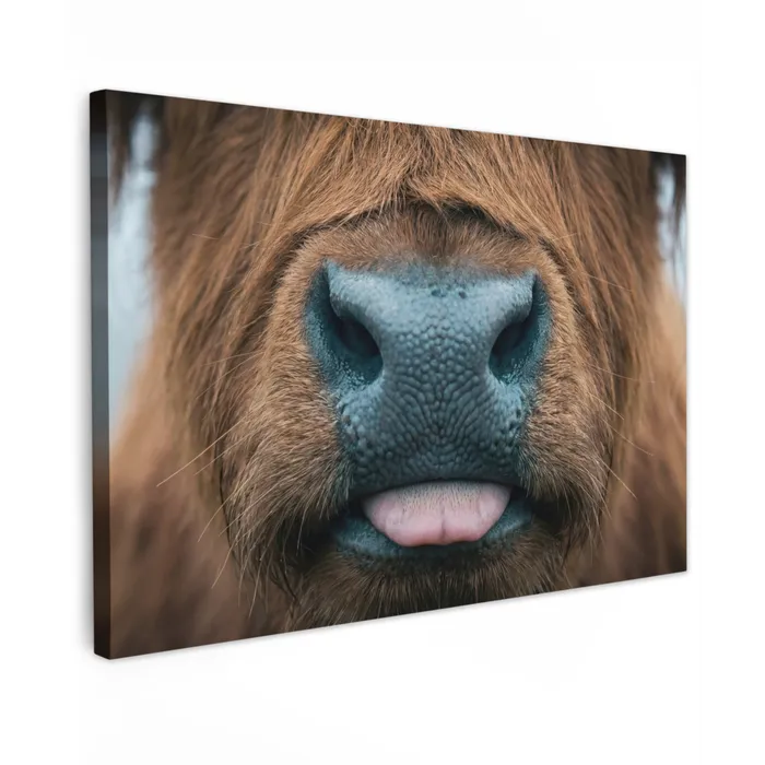 Schotse hooglander - Neus - Bruin Tuinposter op houten frame 2 cm dik klein -3d