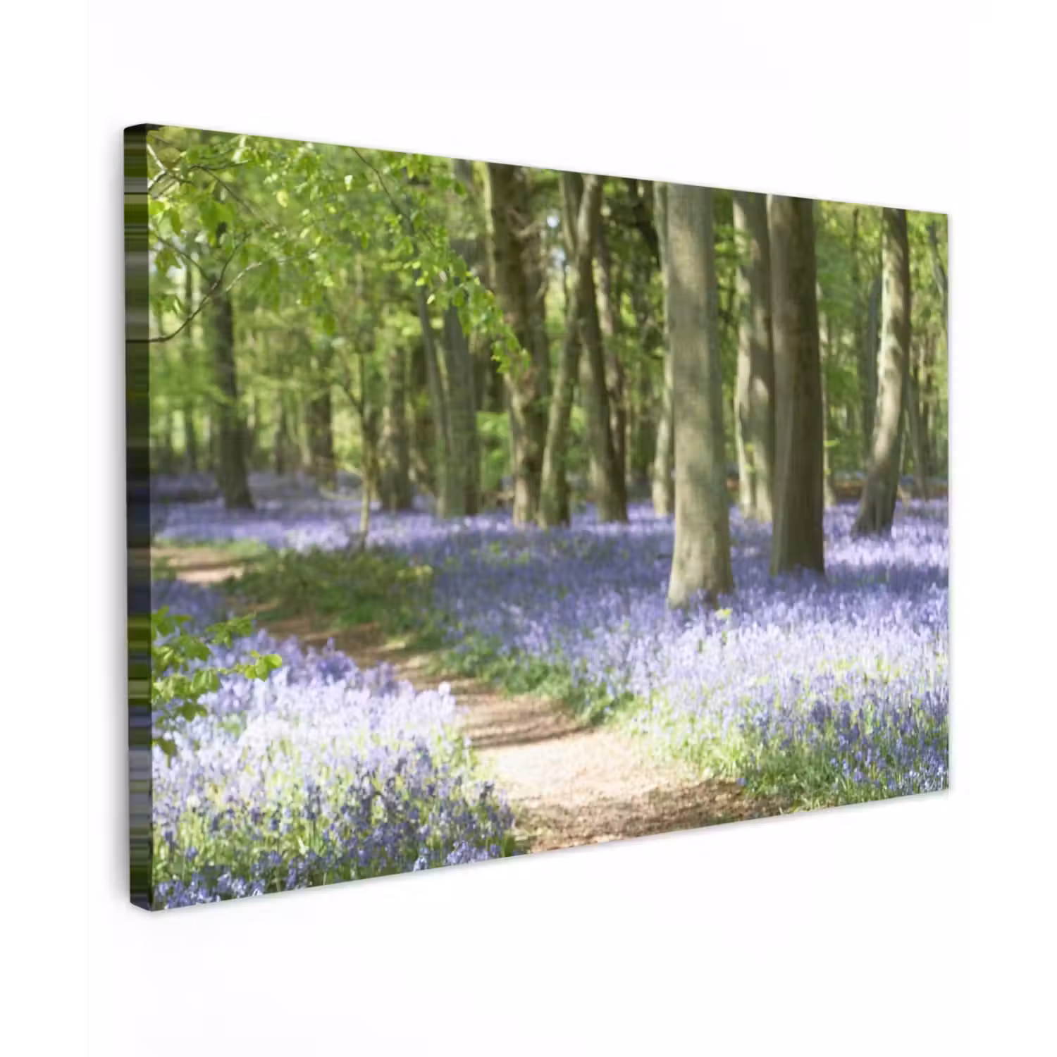 Lente bos met blauwe bloemen Tuinposter op houten frame 2 cm dik klein -3d