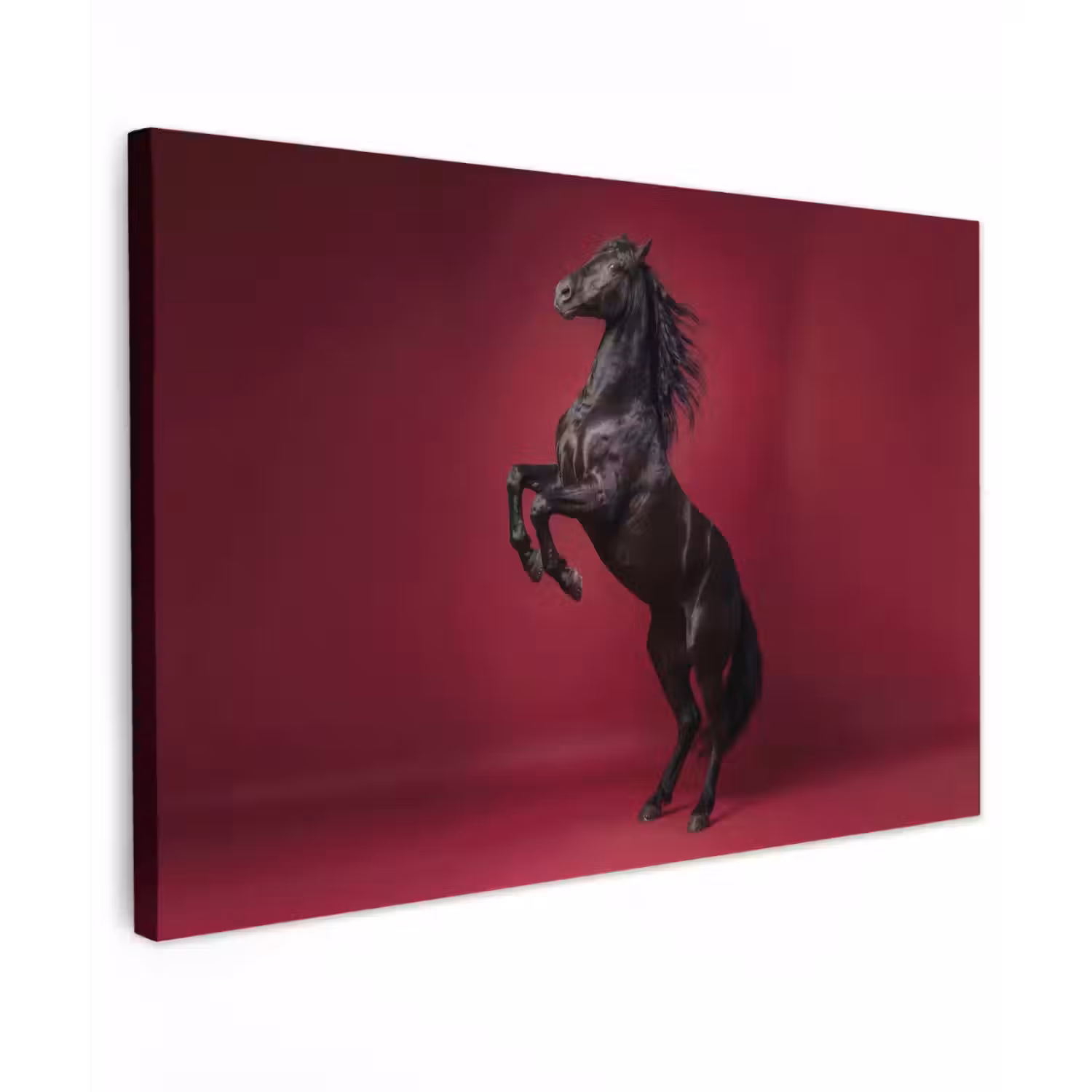 Hengst - Steigert - Rood Tuinposter op houten frame 2 cm dik klein -3d