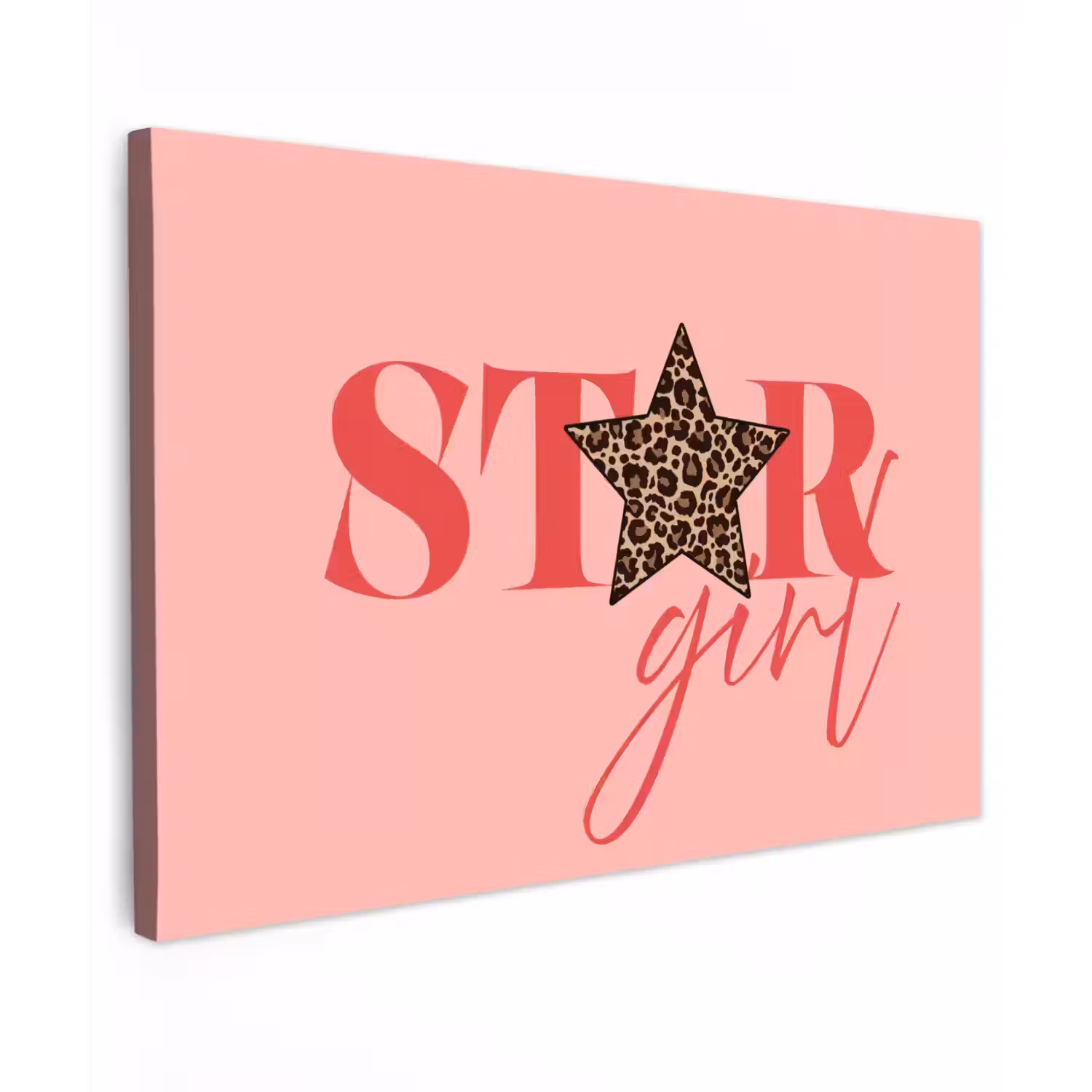 Star girl - Roze - Panter - Ster Tuinposter op houten frame 2 cm dik klein -3d