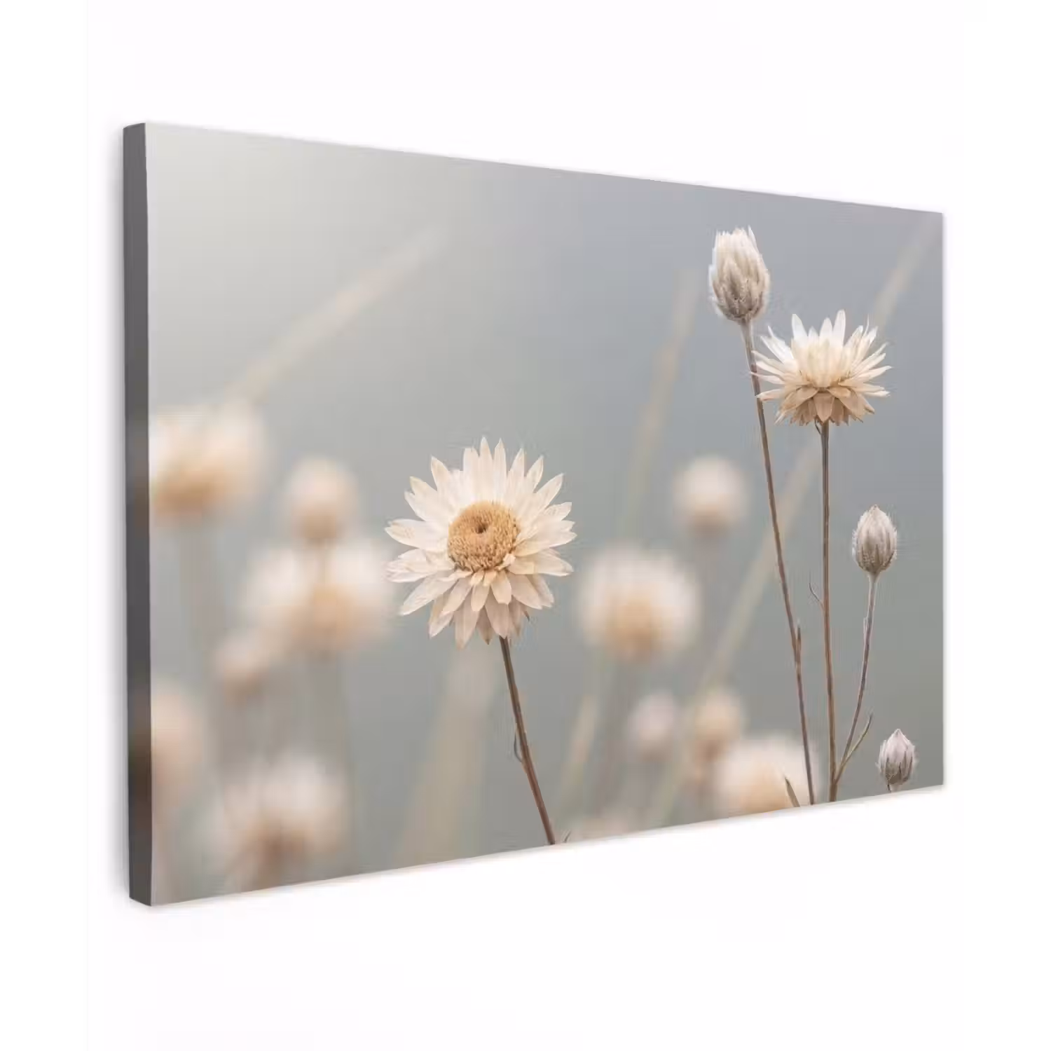 Strobloemen - Wit - Daglicht Tuinposter op houten frame 2 cm dik klein -3d