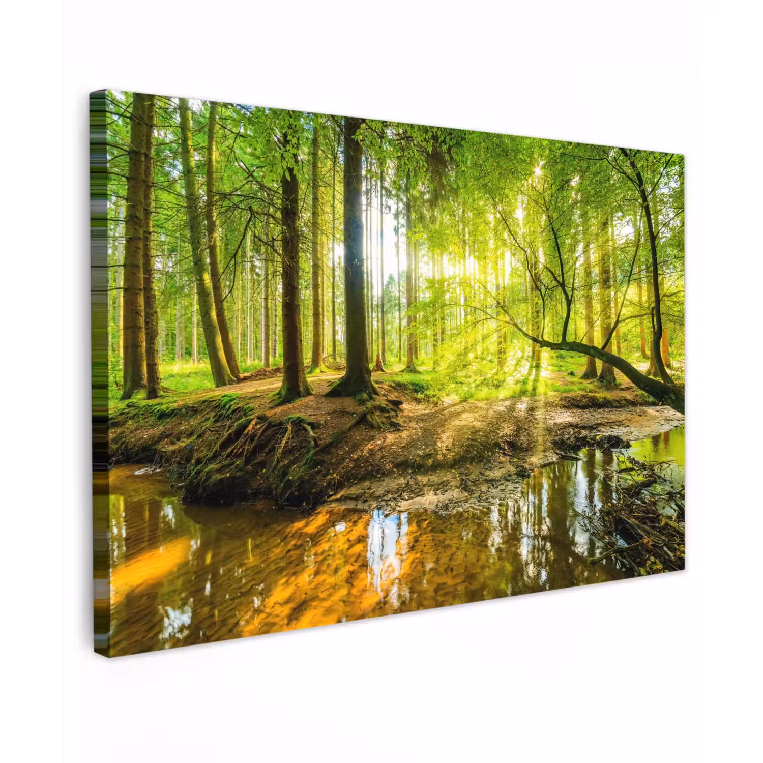 Zonnestralen in een groen bos Tuinposter op houten frame 2 cm dik klein -3d