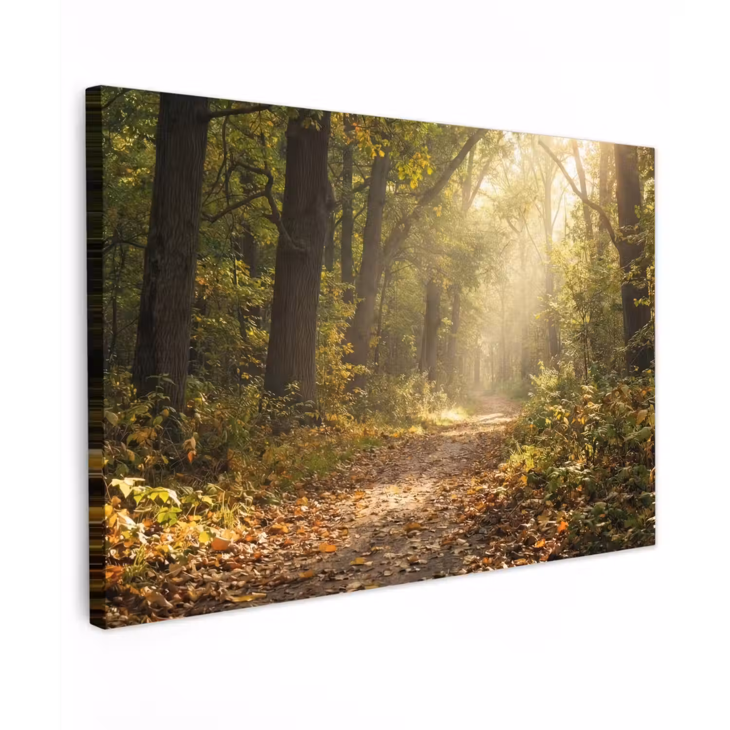 Zonlicht - Bospad - Bomen Tuinposter op houten frame 2 cm dik klein -3d