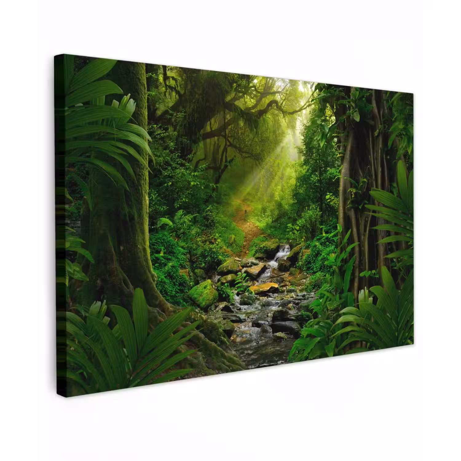 Zonnige Stralen in het Regenwoud Tuinposter op houten frame 2 cm dik klein -3d