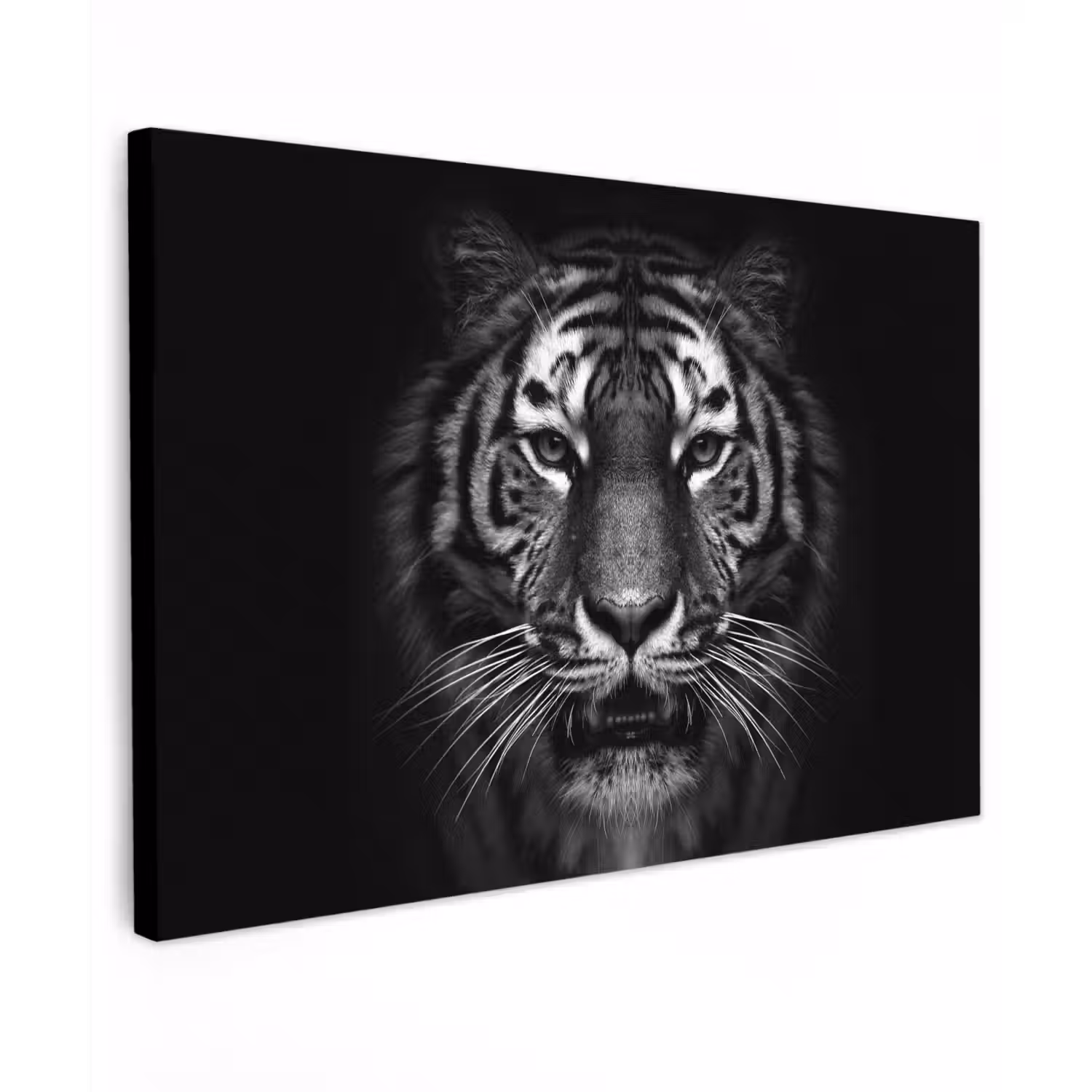 Tijger in het zwart-wit Tuinposter op houten frame 2 cm dik klein -3d