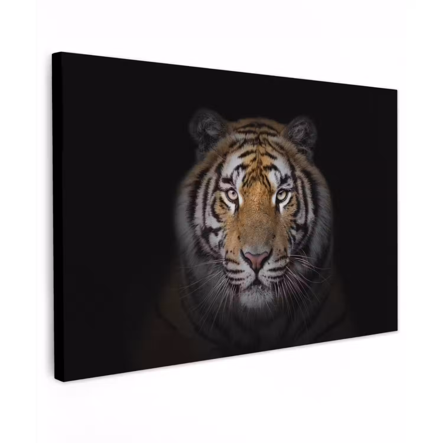 Tijger in de schaduw Tuinposter op houten frame 2 cm dik klein -3d