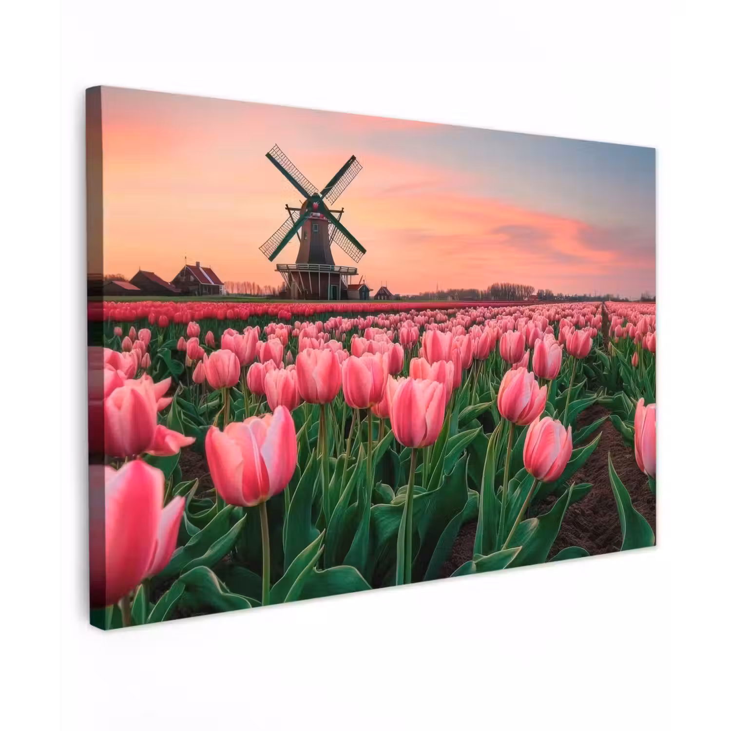 Tulpen - Molen - Nederland Tuinposter op houten frame 2 cm dik klein -3d