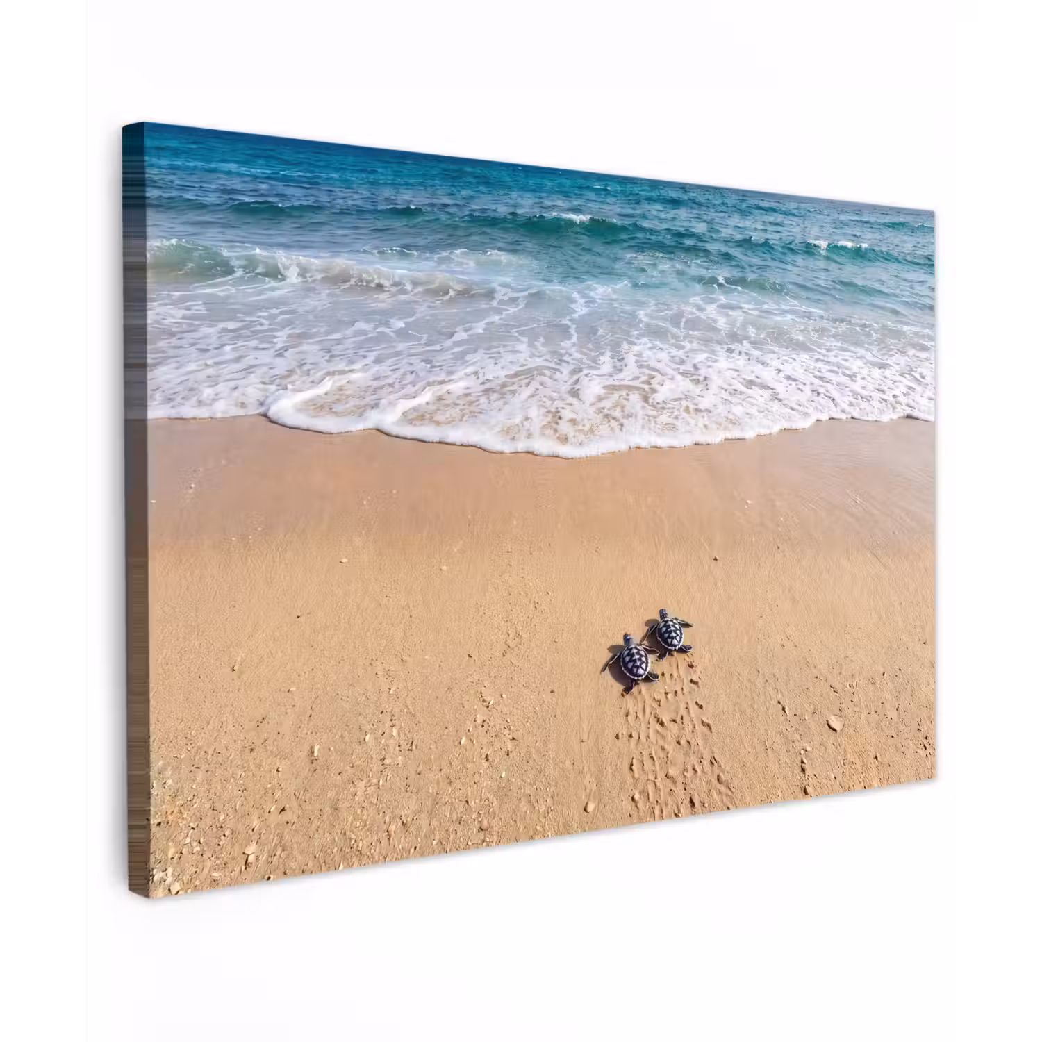 Schildpad - Jong - Strand - Oceaan - Blauw Tuinposter op houten frame 2 cm dik klein -3d