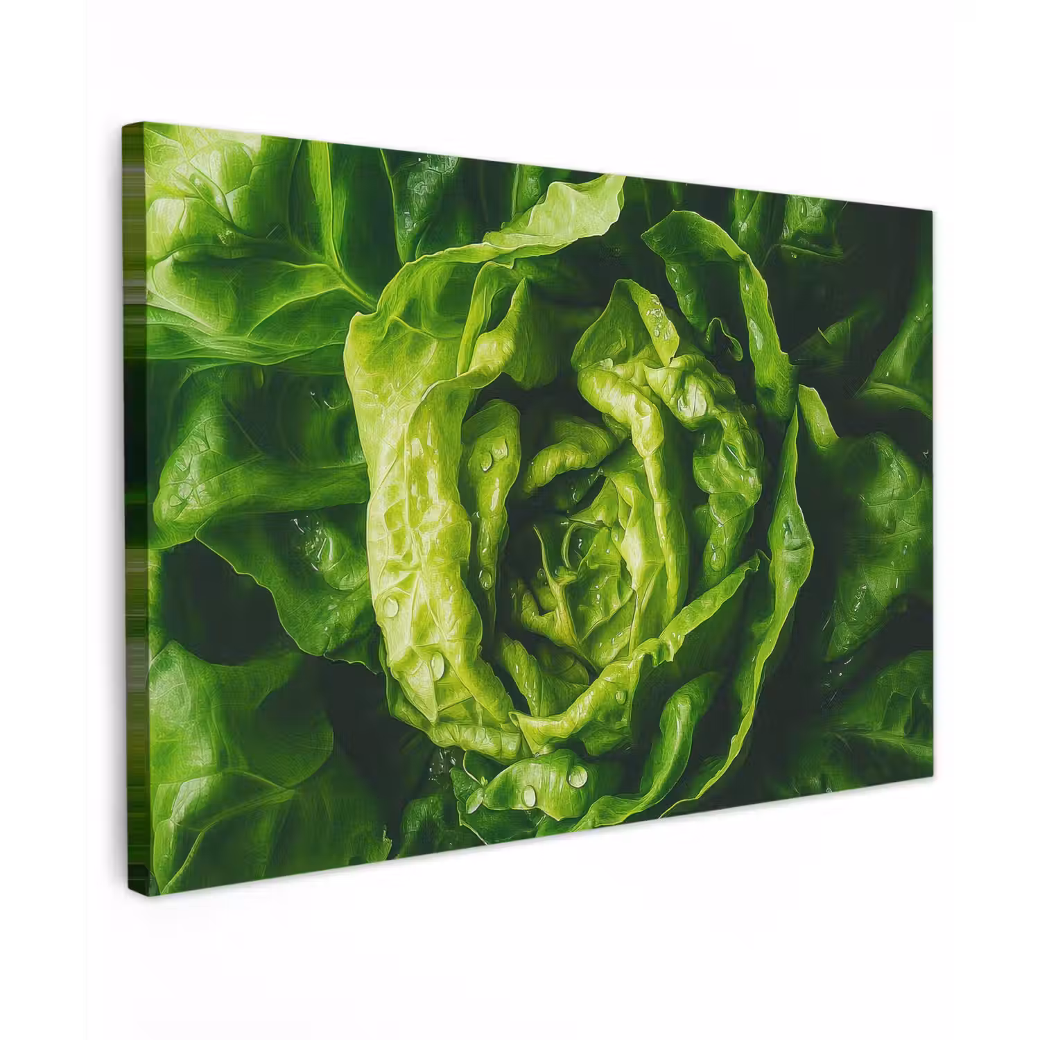Groente - Sla - Groen Tuinposter op houten frame 2 cm dik klein -3d