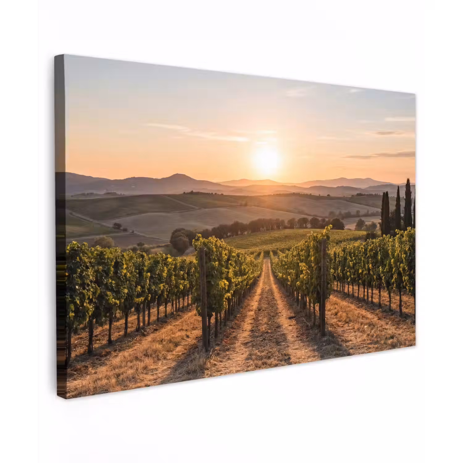 Wijngaard - Zonsondergang - Landschap Tuinposter op houten frame 2 cm dik klein -3d