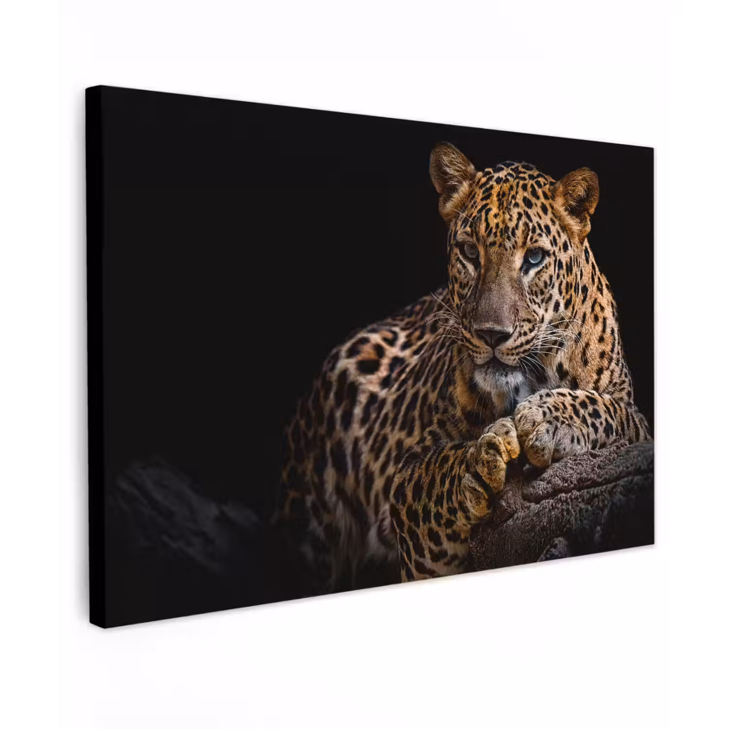 Wilde dieren - Panter - Portret - Zwart - Dieren Tuinposter op houten frame 2 cm dik klein -3d