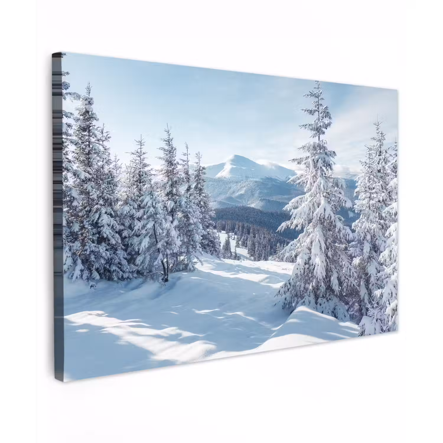Winterlandschap - Natuur - Berg - Bomen - Sneeuw Tuinposter op houten frame 2 cm dik klein -3d