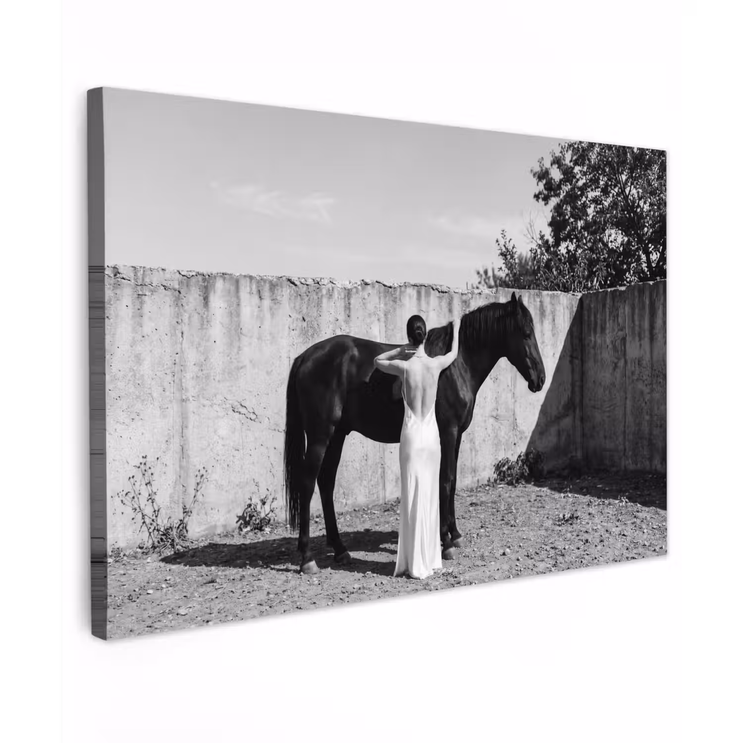 Vrouw - Paard - Artistiek Tuinposter op houten frame 2 cm dik klein -3d