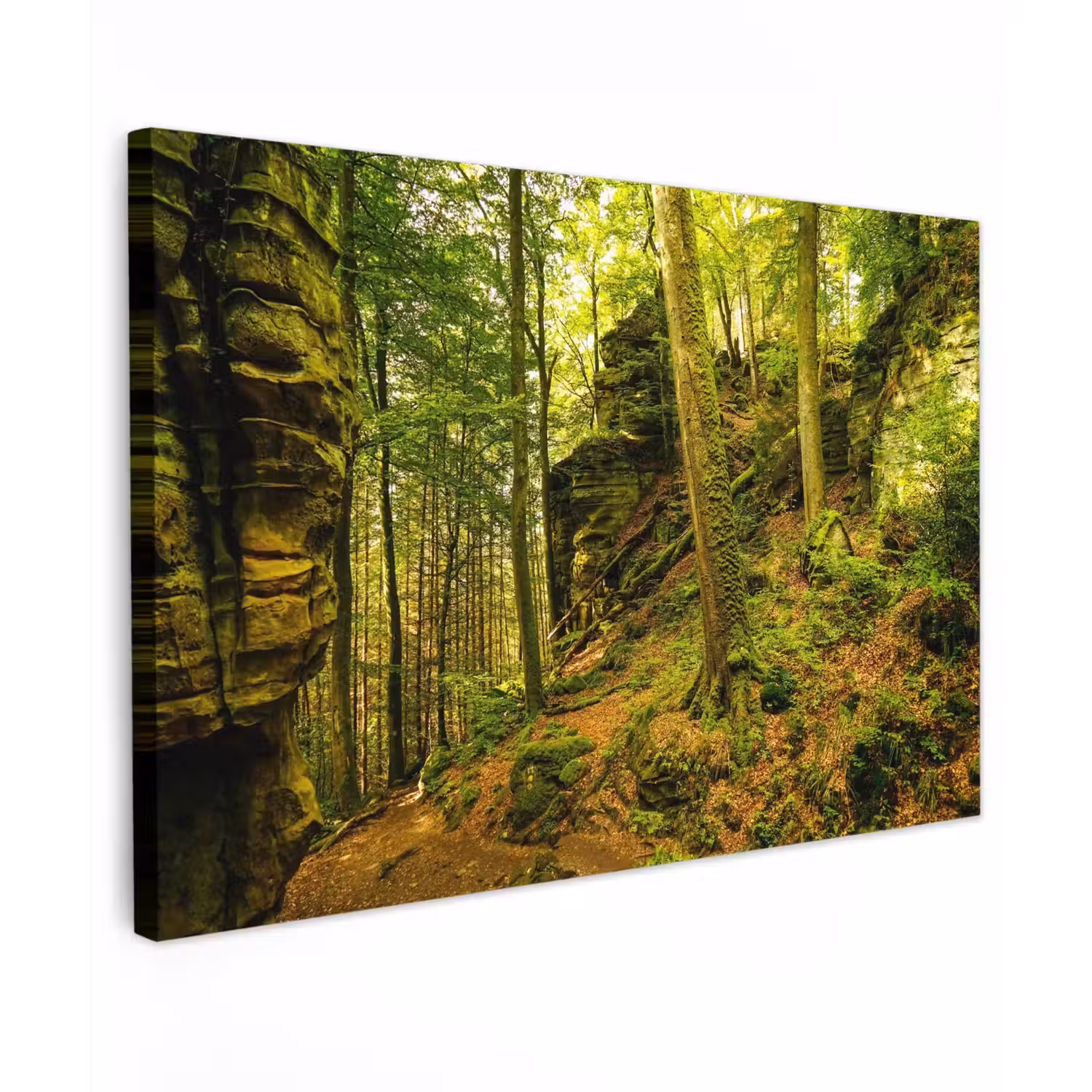Bosrijke rotsformatie Tuinposter op houten frame 2 cm dik klein -3d