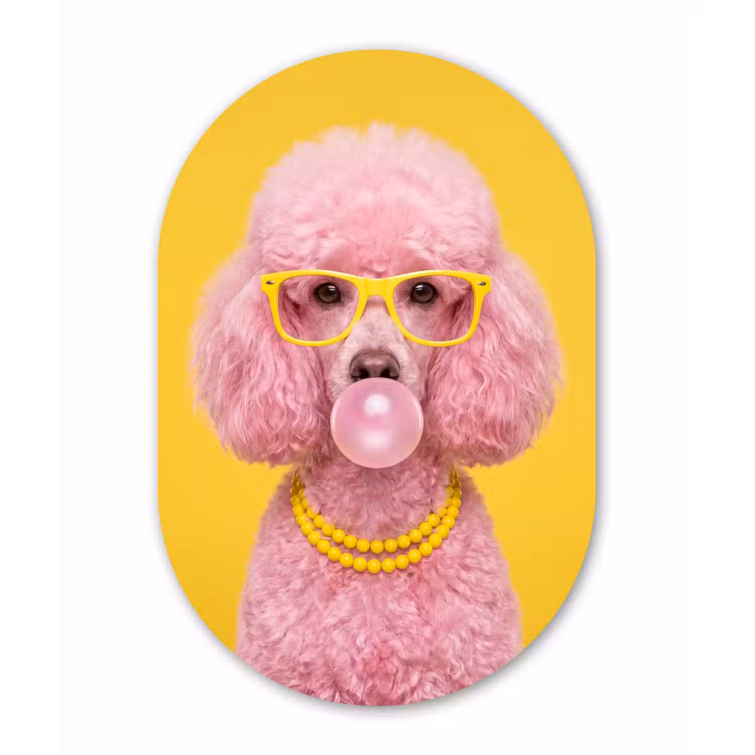 Hond - Kauwgum - Dieren - Modern - Roze Wandcirkel Ovaal Forex klein -3d
