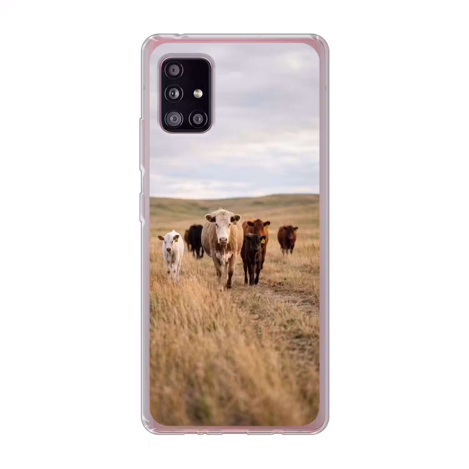 Runderen - Kudde - Landschap - Weide - Rustig Telefoonhoesje Samsung Galaxy A51 5G klein -3d