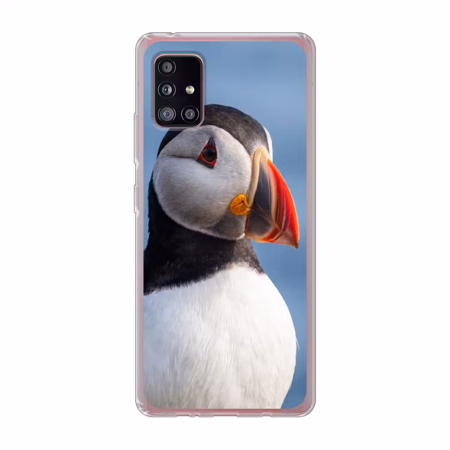Papegaaiduiker - Portret - Natuur Telefoonhoesje Samsung Galaxy A51 5G klein -3d