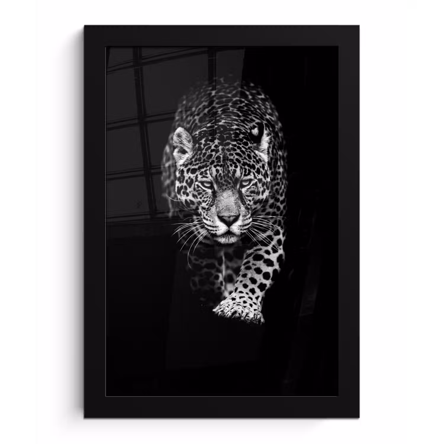 Dieren - Zwart - Luipaard - Wit - Wild fotolijst zwart zonder passe partout klein -3d