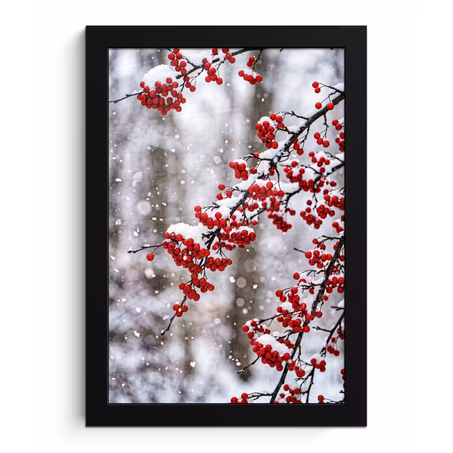 Bessen - Takken - Sneeuw - Winter - Kleurrijk fotolijst zwart zonder passe partout klein -3d