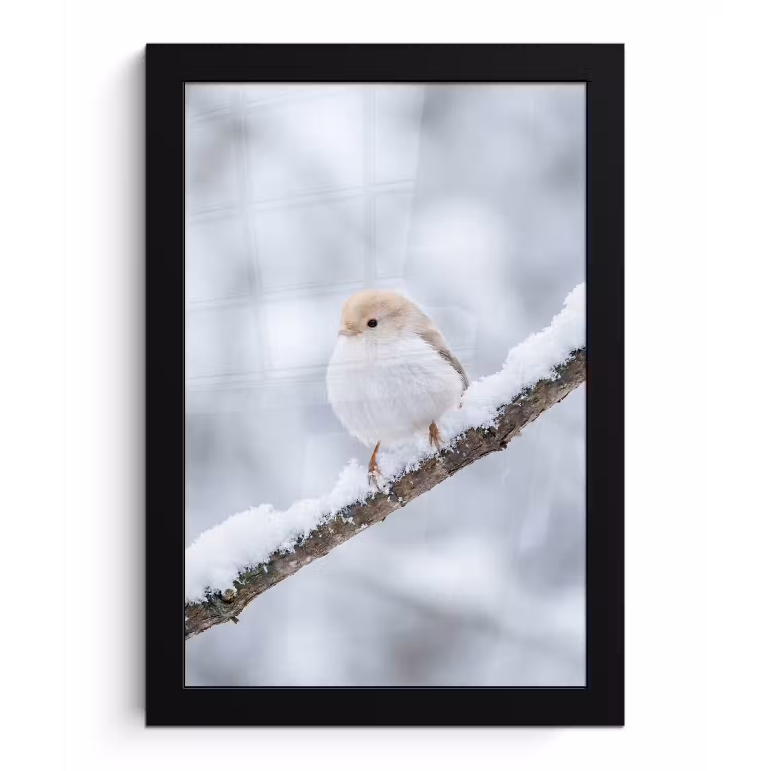 Vogeltje - Sneeuw - Tak - Winter - Zacht fotolijst zwart zonder passe partout klein -3d