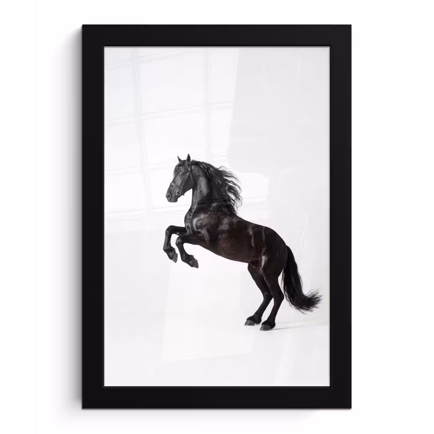 Zwart - Paard - Portret fotolijst zwart zonder passe partout klein -3d