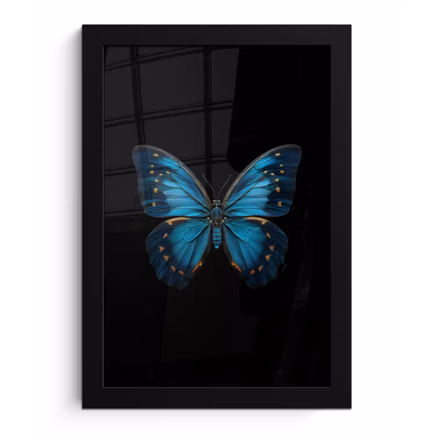 Vlinder - Blauw - Contrast fotolijst zwart zonder passe partout klein -3d