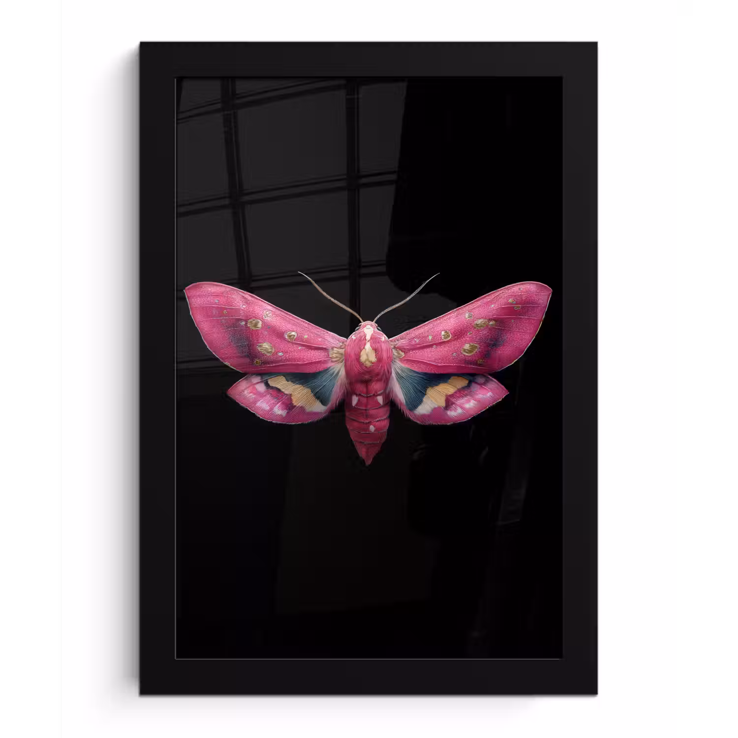 Vlinder - Roze - Nachtvlinder fotolijst zwart zonder passe partout klein -3d