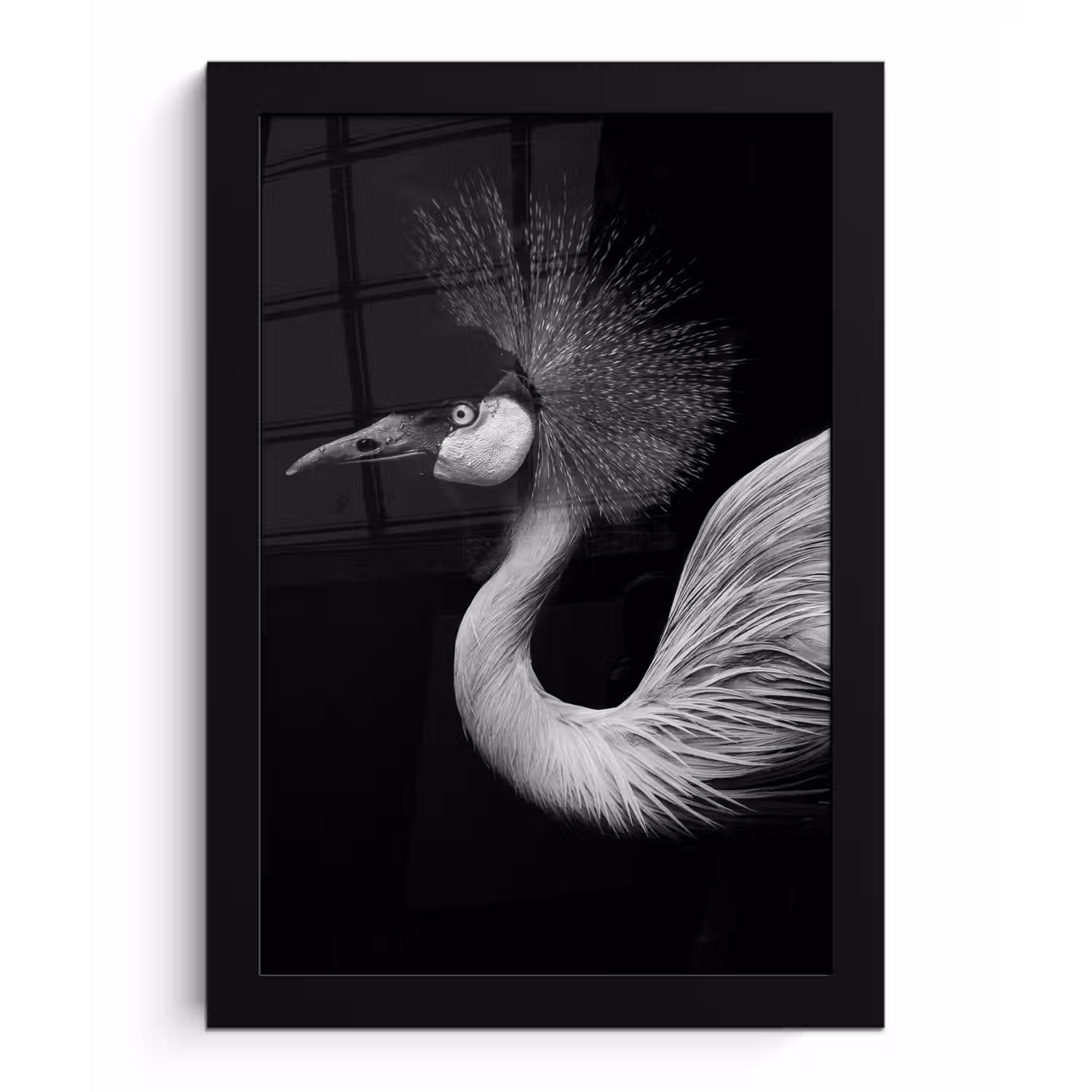 Kraanvogel - Zwart - Wit - Vogel - Dieren fotolijst zwart zonder passe partout klein -3d