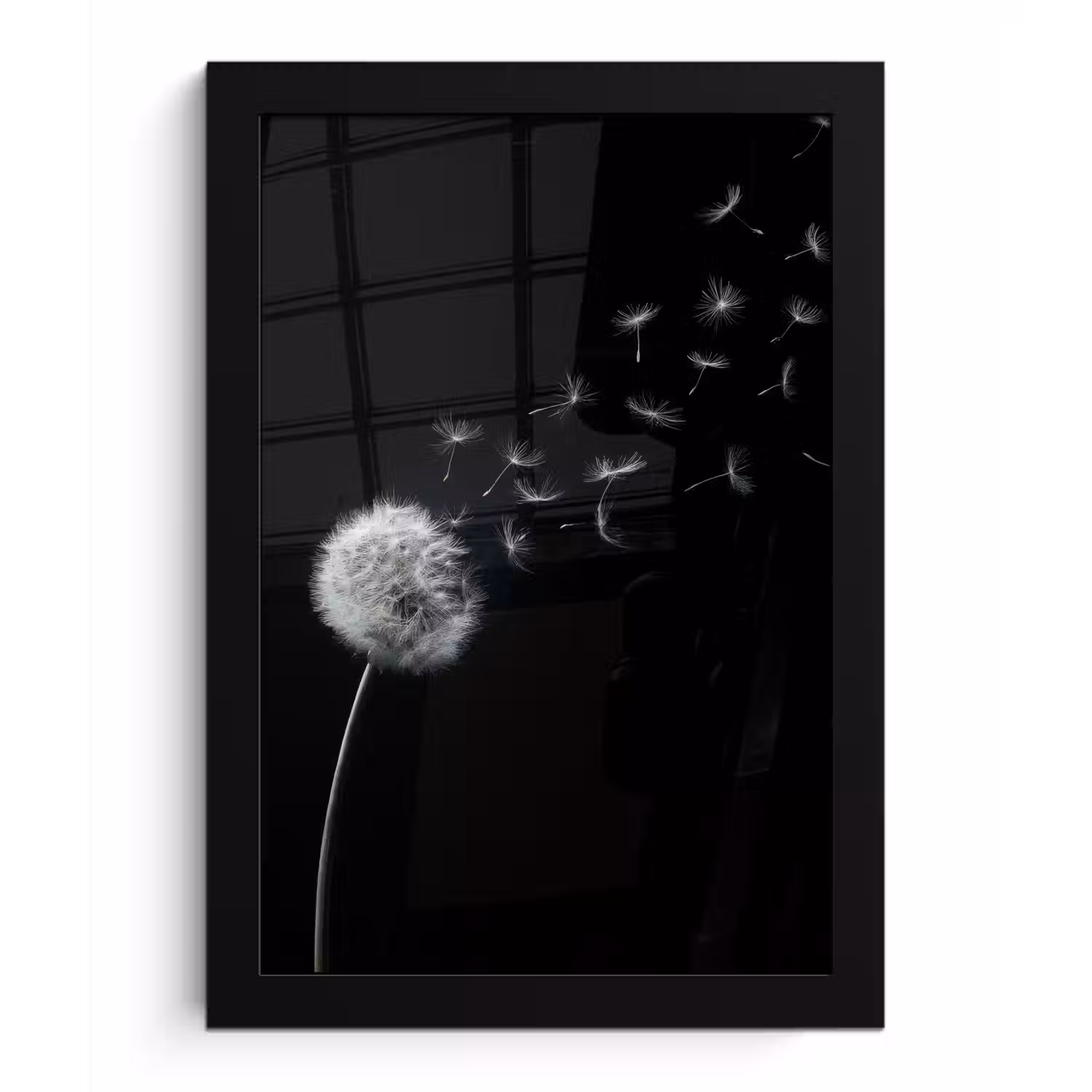 Paardenbloem - Zwart - Natuur fotolijst zwart zonder passe partout klein -3d