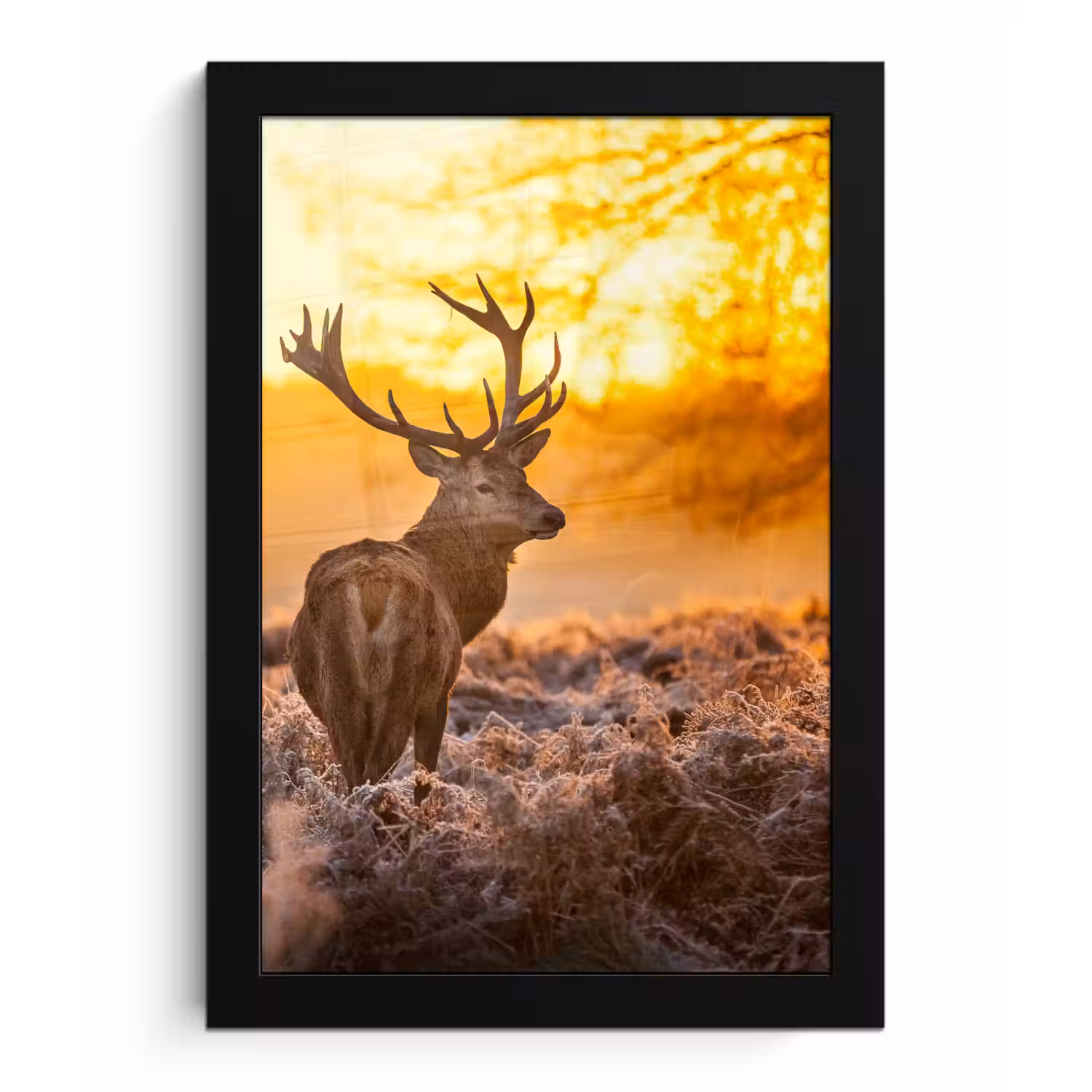 Hert - Dieren - Zonsondergang - Winter - Heide - Natuur fotolijst zwart zonder passe partout klein -3d