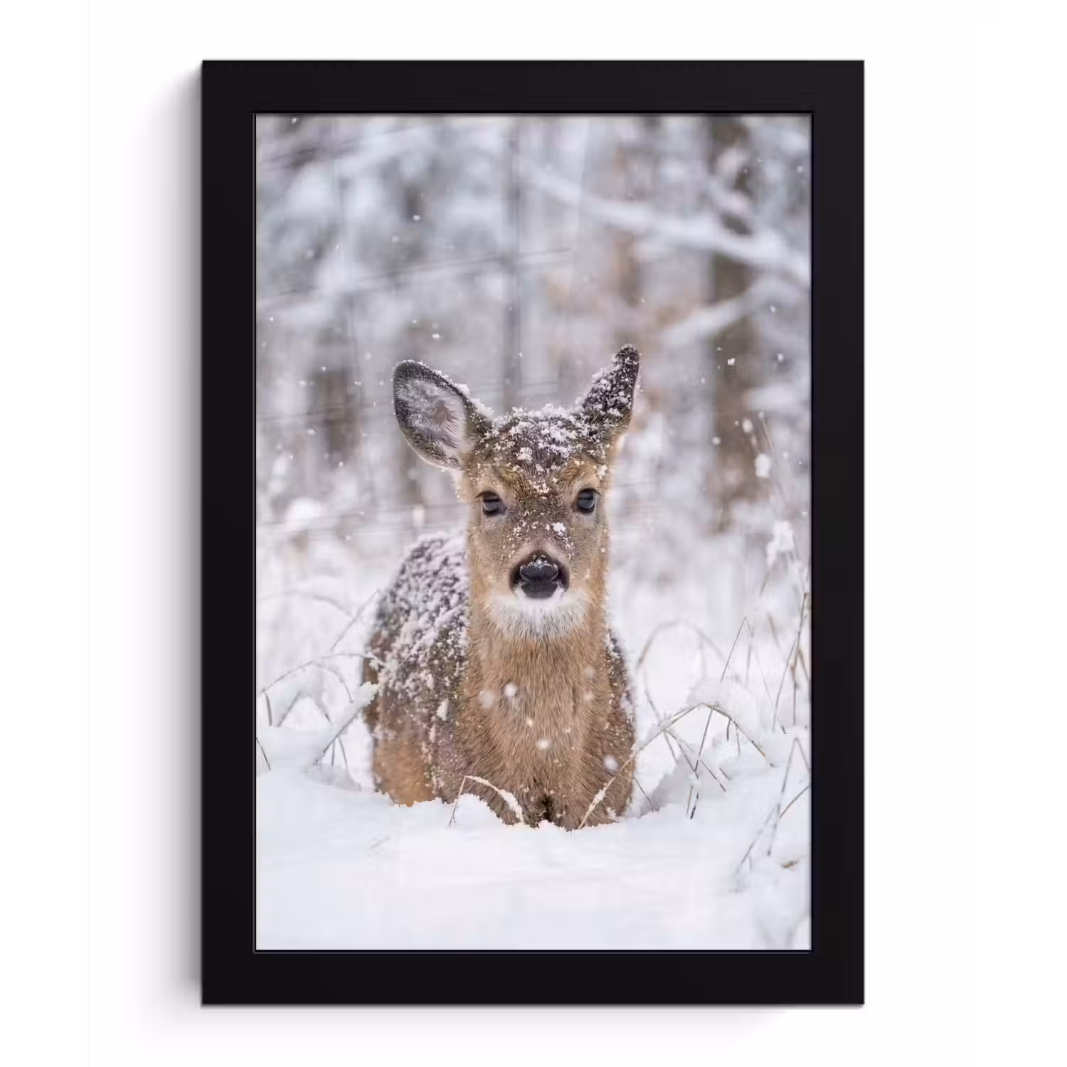 Hert - Sneeuw - Bos - Dieren - Vertederend fotolijst zwart zonder passe partout klein -3d