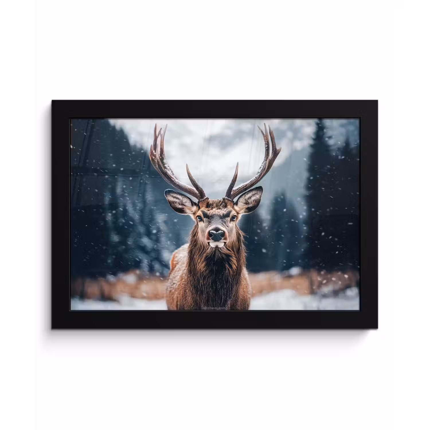 Hert - Winter - Hertenkop - Sneeuw - Gewei fotolijst zwart zonder passe partout klein -3d