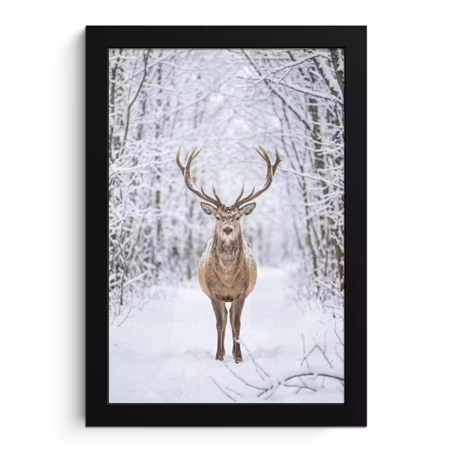 Hert - Winter - Bos - Natuur - Wit fotolijst zwart zonder passe partout klein -3d
