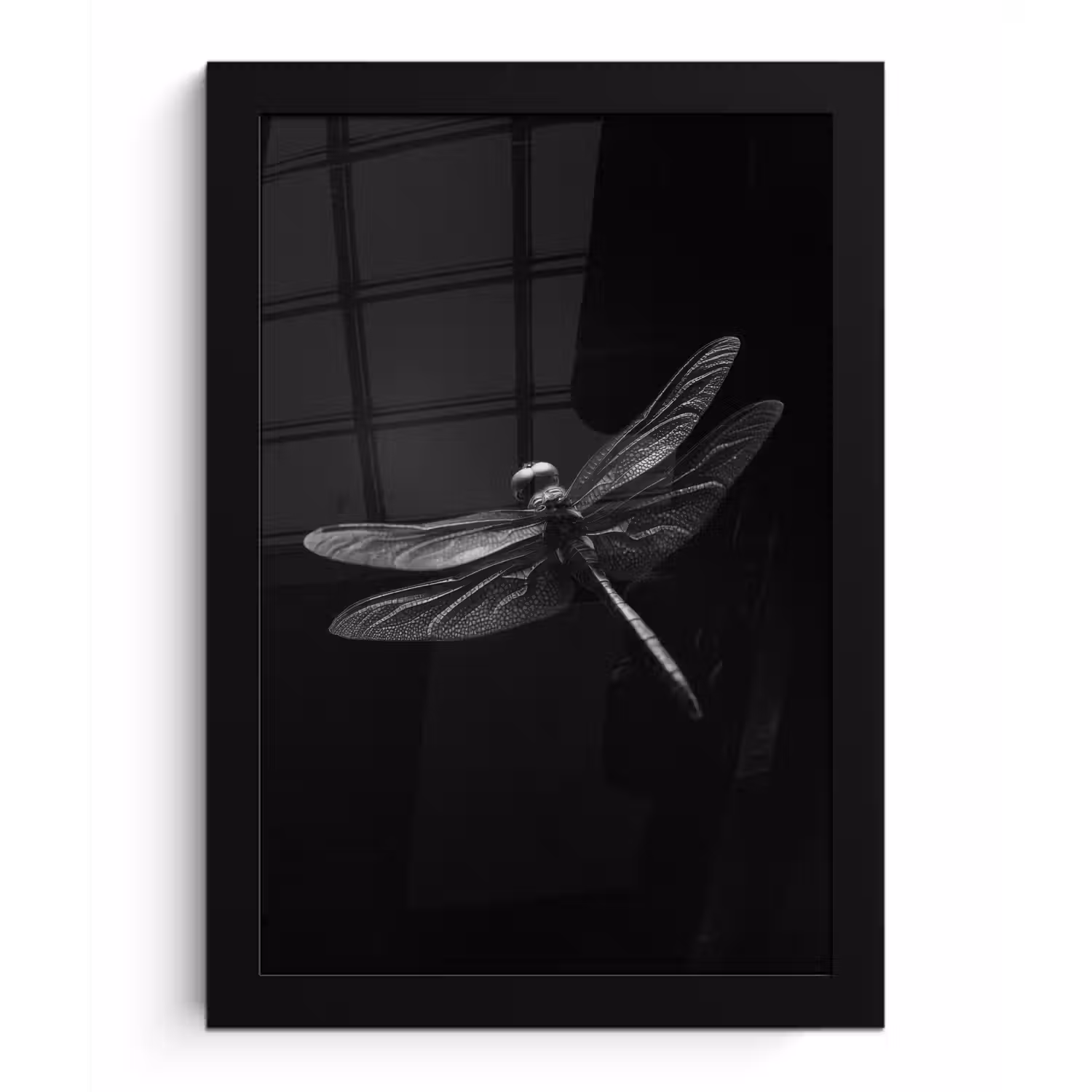 Libelle - Dieren - Zwart - Insect fotolijst zwart zonder passe partout klein -3d