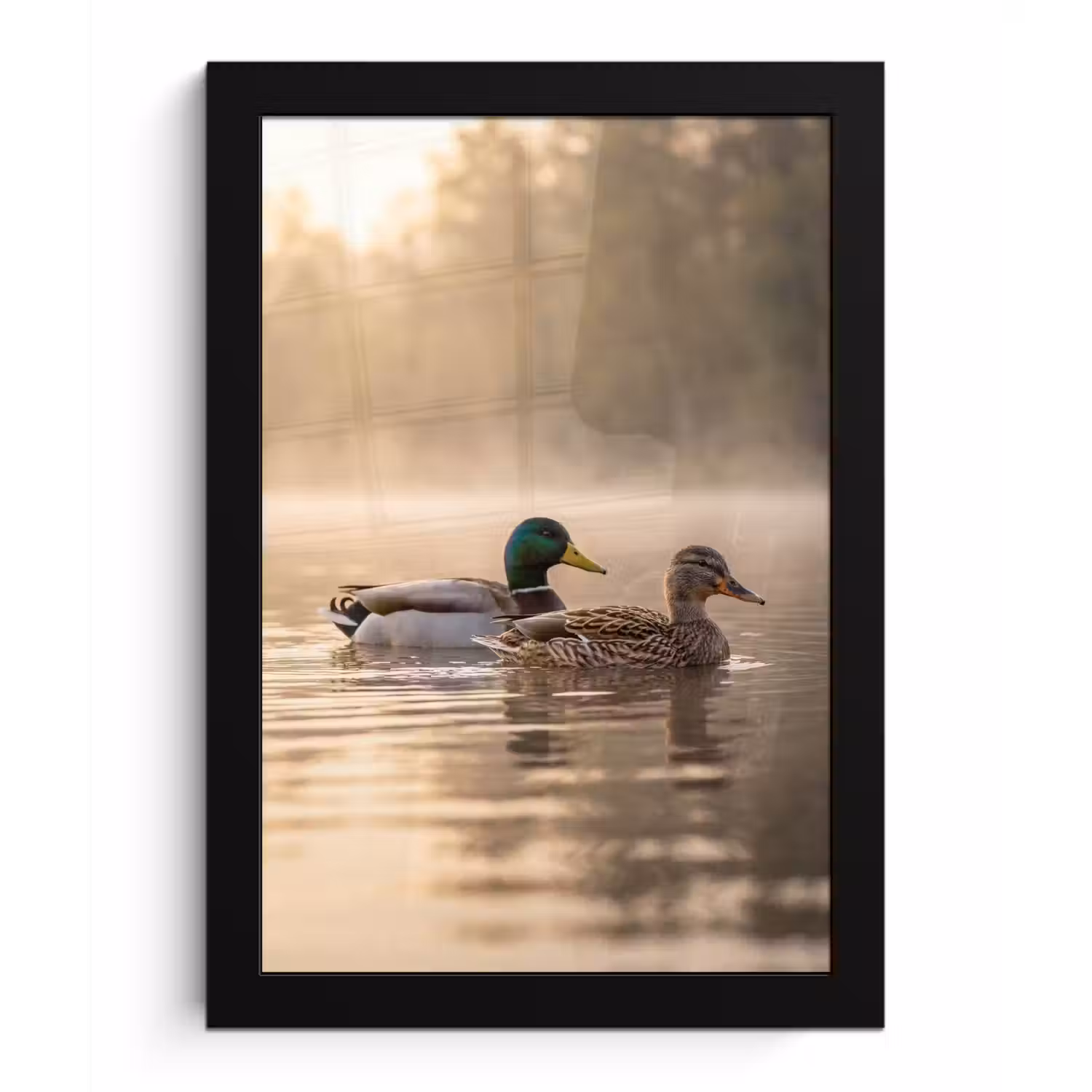 Eenden - Water - Mist - Natuur fotolijst zwart zonder passe partout klein -3d