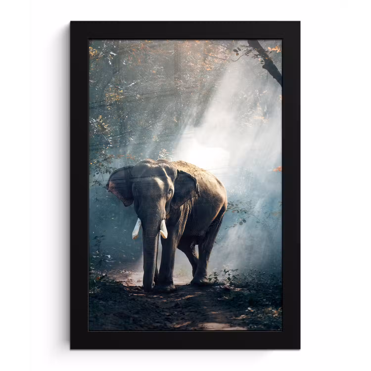 Olifant - Dieren - Licht - Bos - Natuur - Wilde dieren fotolijst zwart zonder passe partout klein -3d