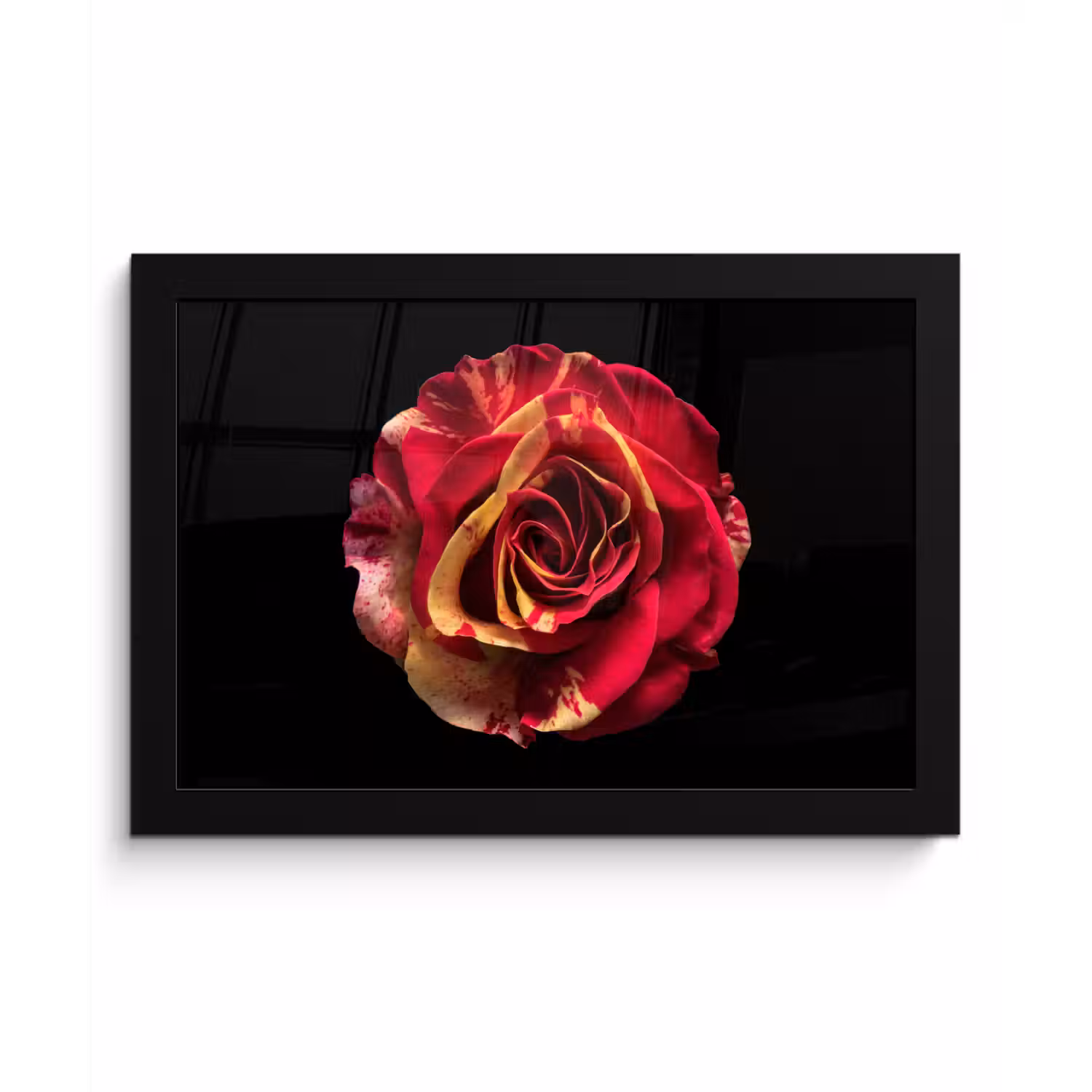 Bloem - Roos - Rood - Zwart fotolijst zwart zonder passe partout klein -3d