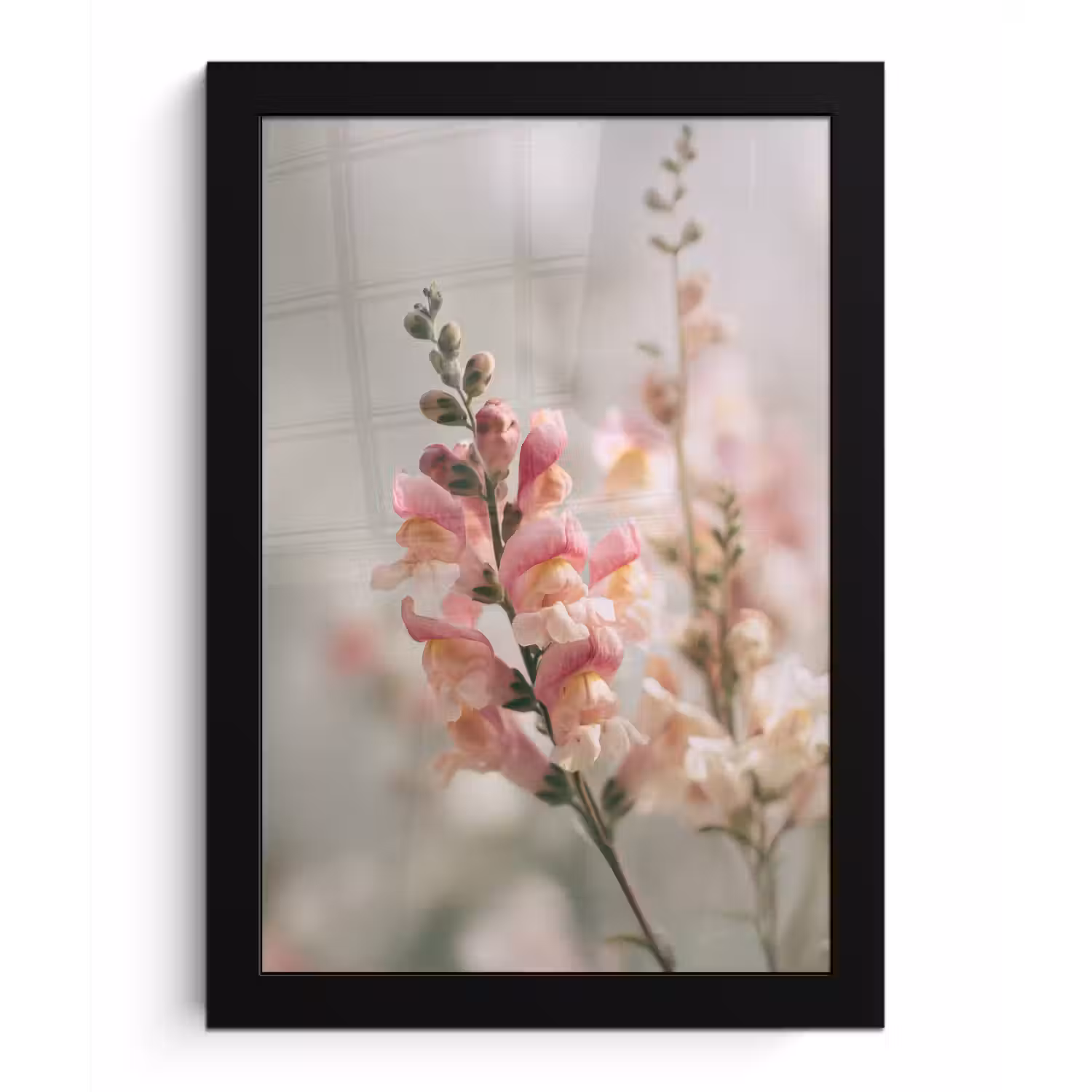 Bloem - Leeuwenbek - Roze - Stengel fotolijst zwart zonder passe partout klein -3d