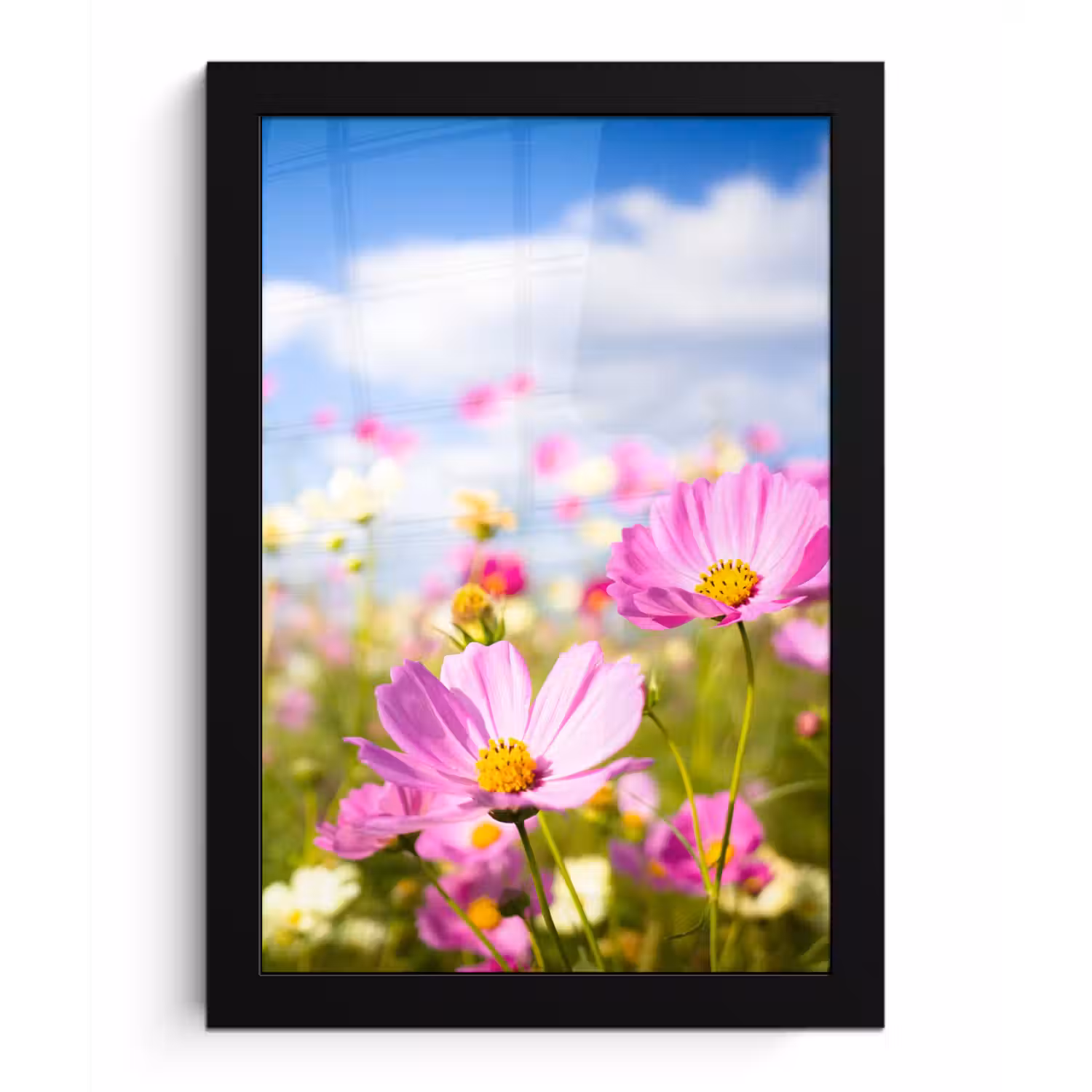 Bloemen - Wei - Paars - Gras - Wit - Wolken - Blauw fotolijst zwart zonder passe partout klein -3d