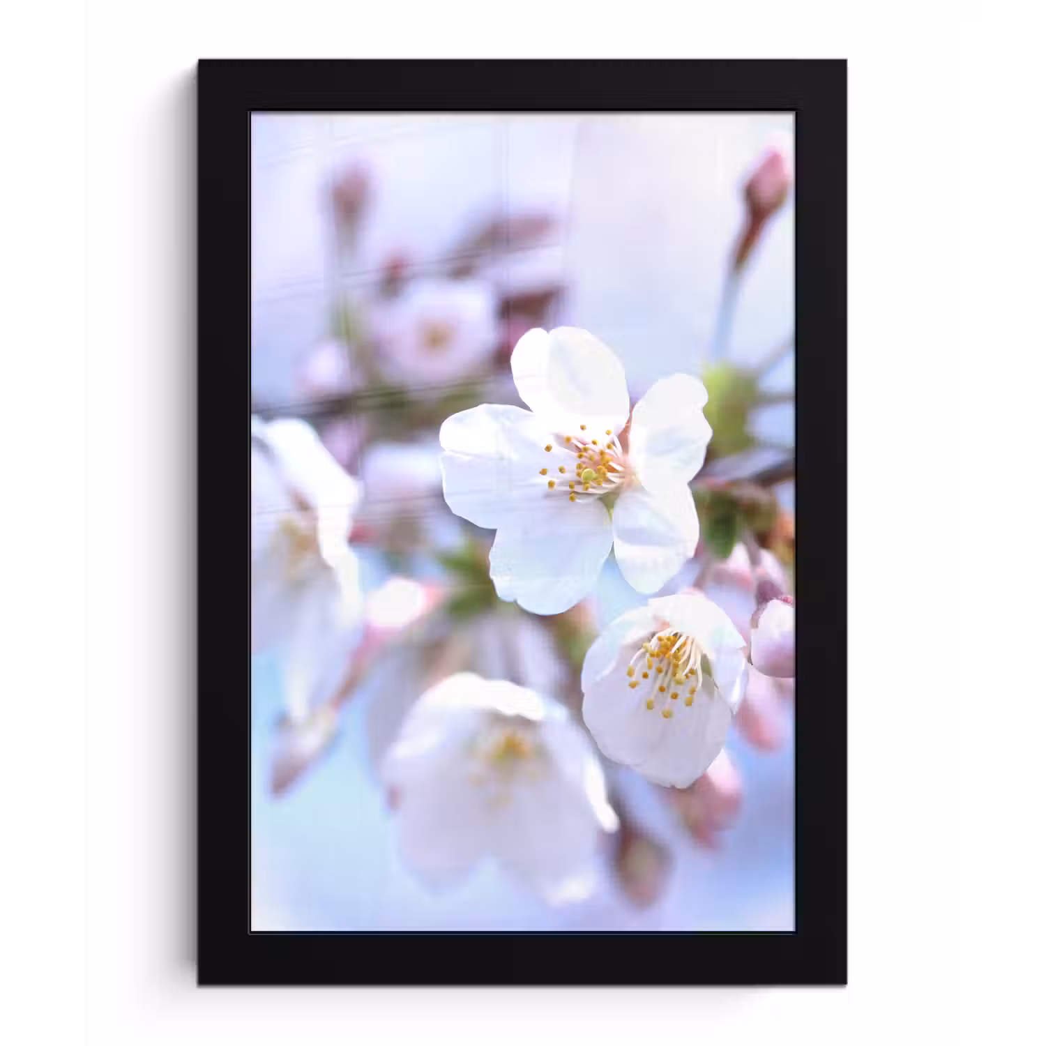 Bloemen - Sakura - Tak - Bloesem takken fotolijst zwart zonder passe partout klein -3d